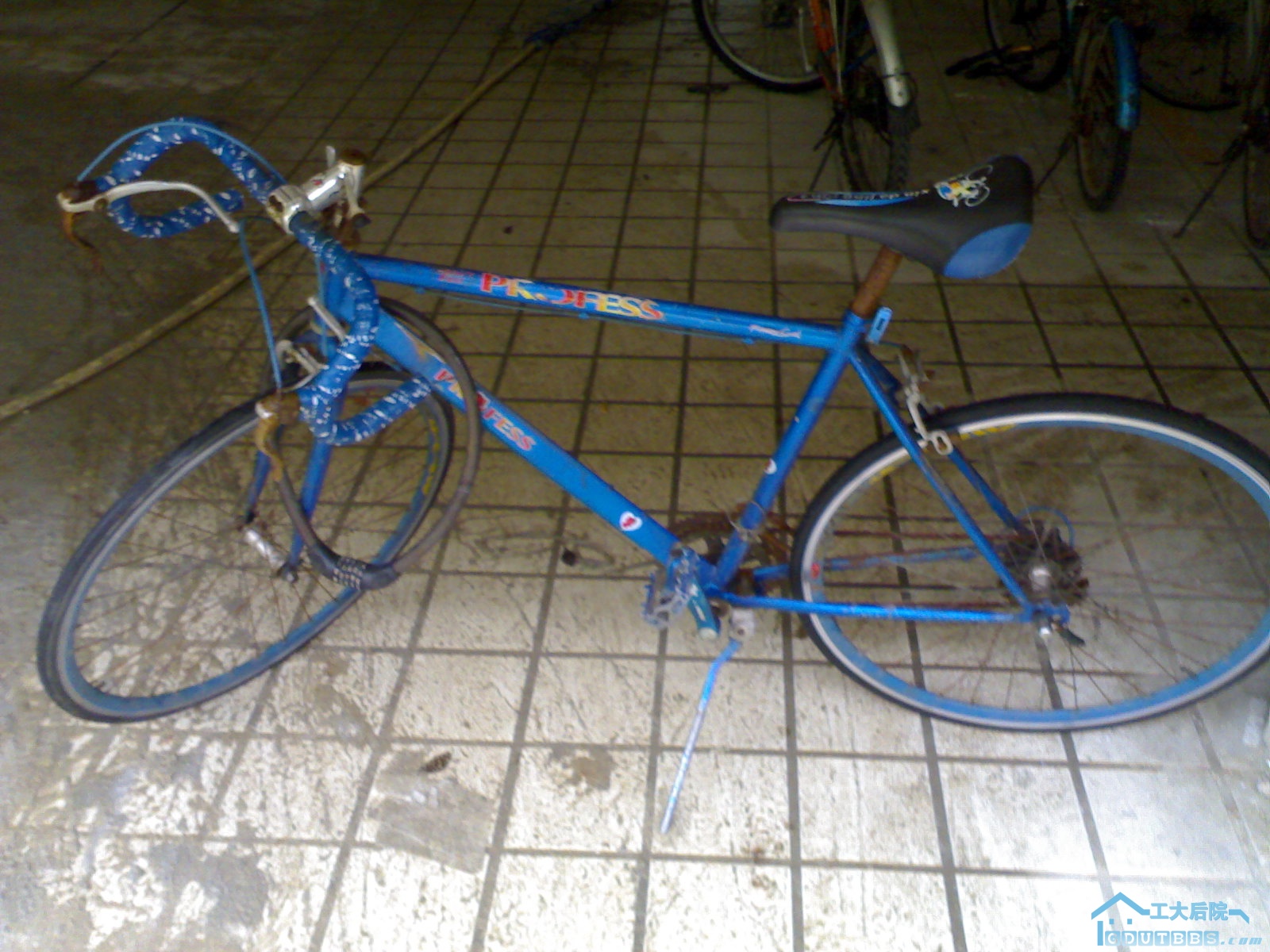 20100628136.jpg