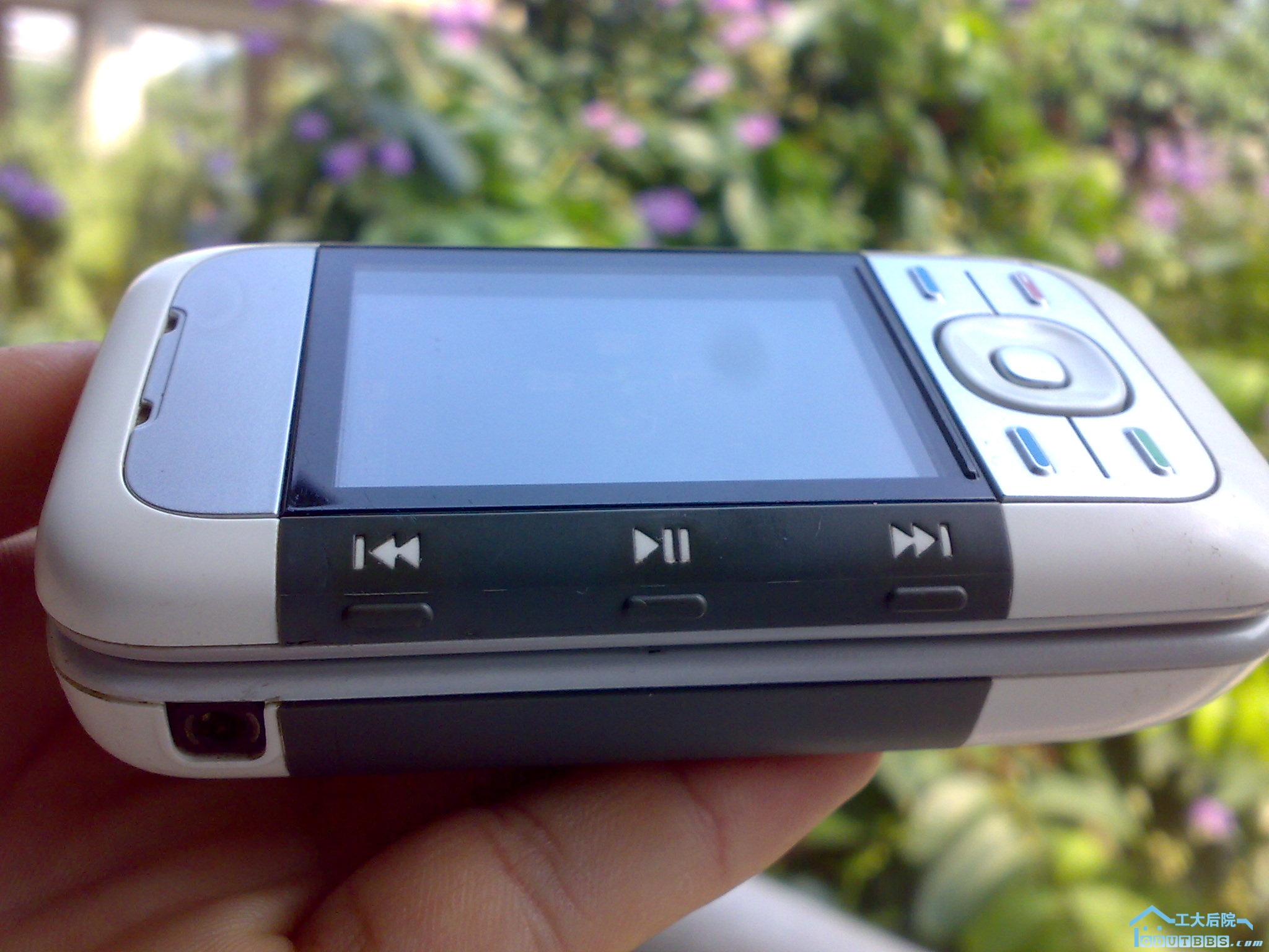 20100701248.jpg