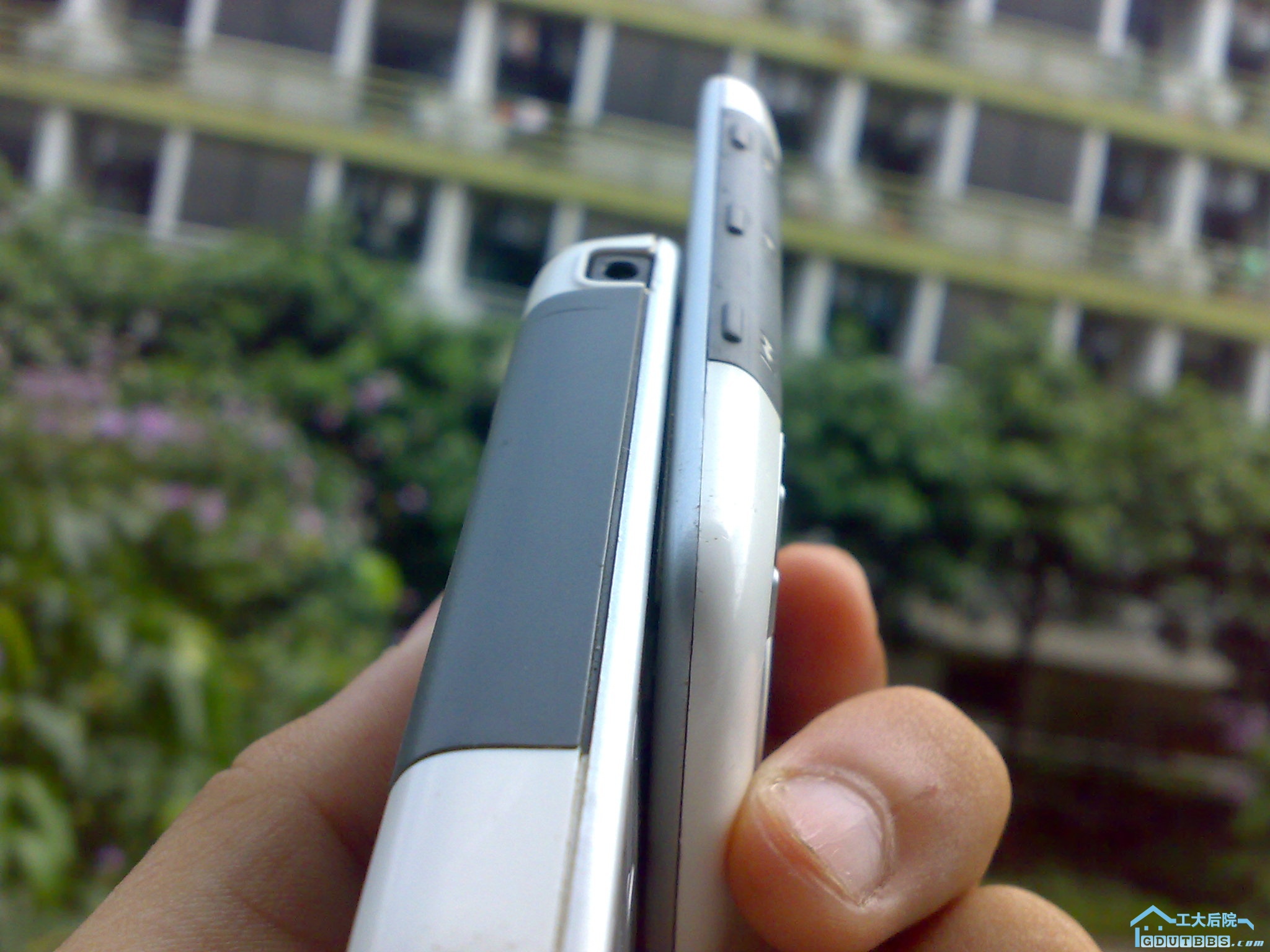 20100701255.jpg