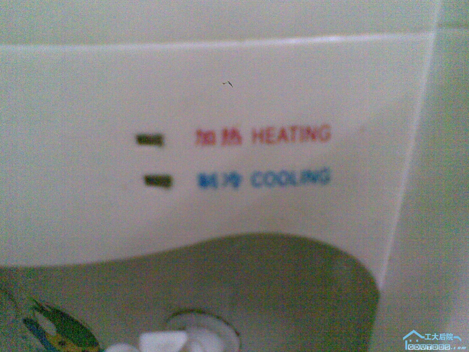20100701(008).jpg