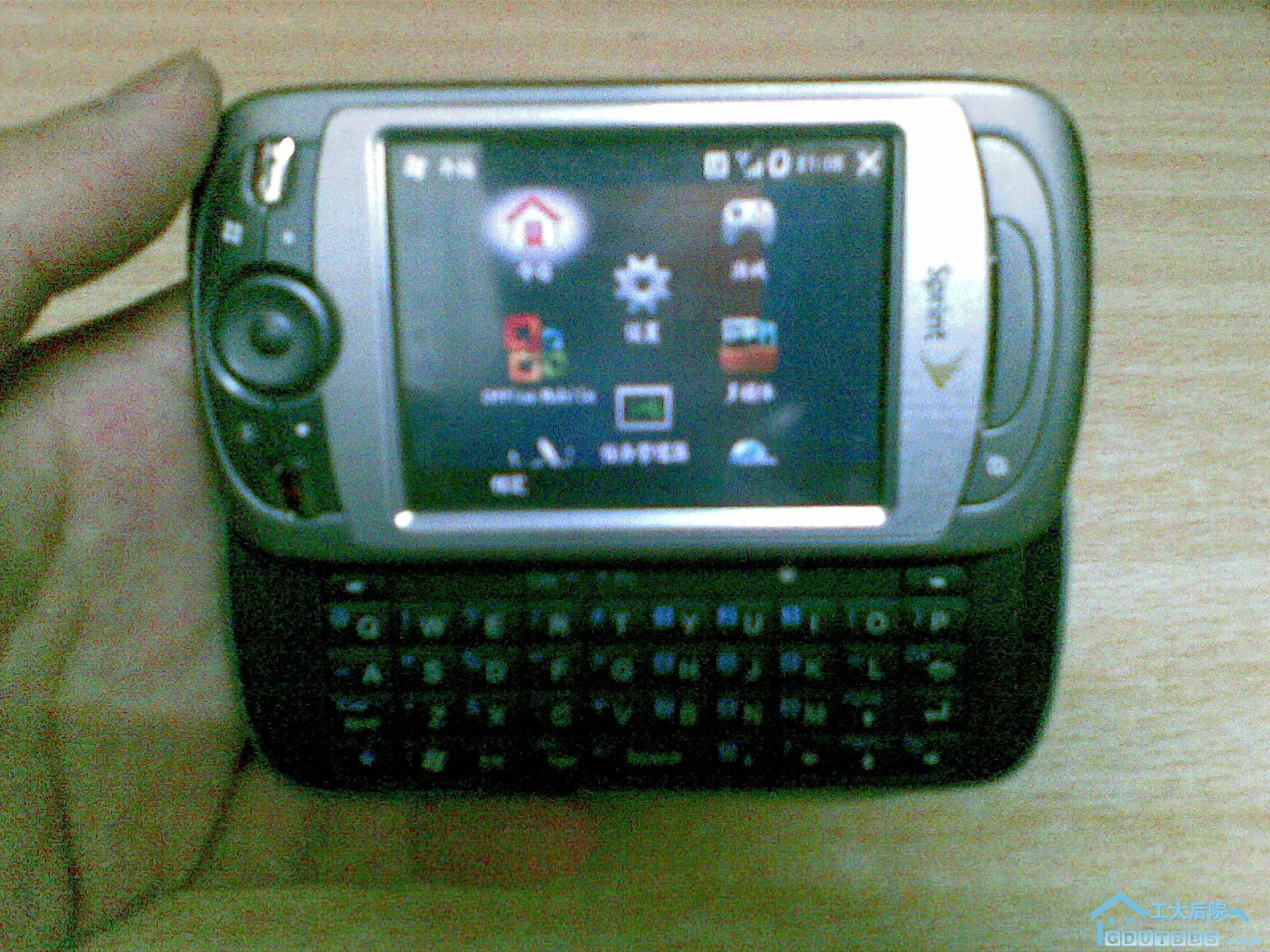 20100628_006.jpg