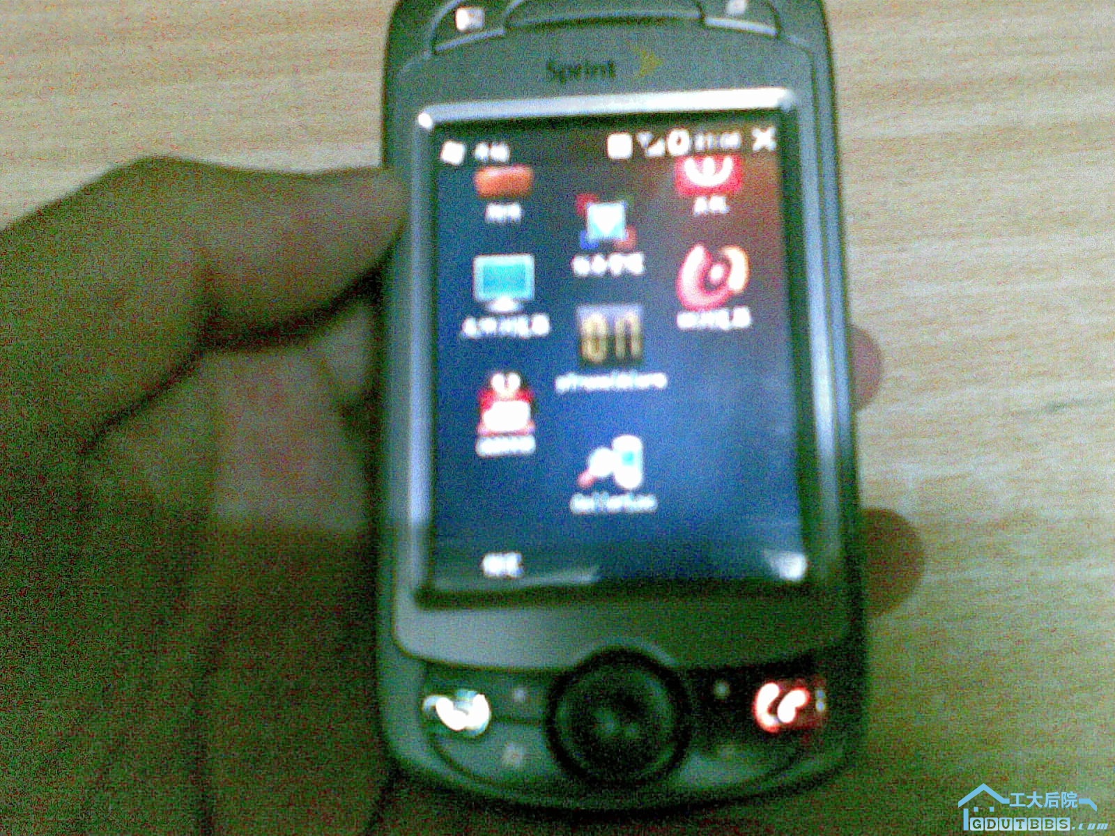 20100628_007.jpg