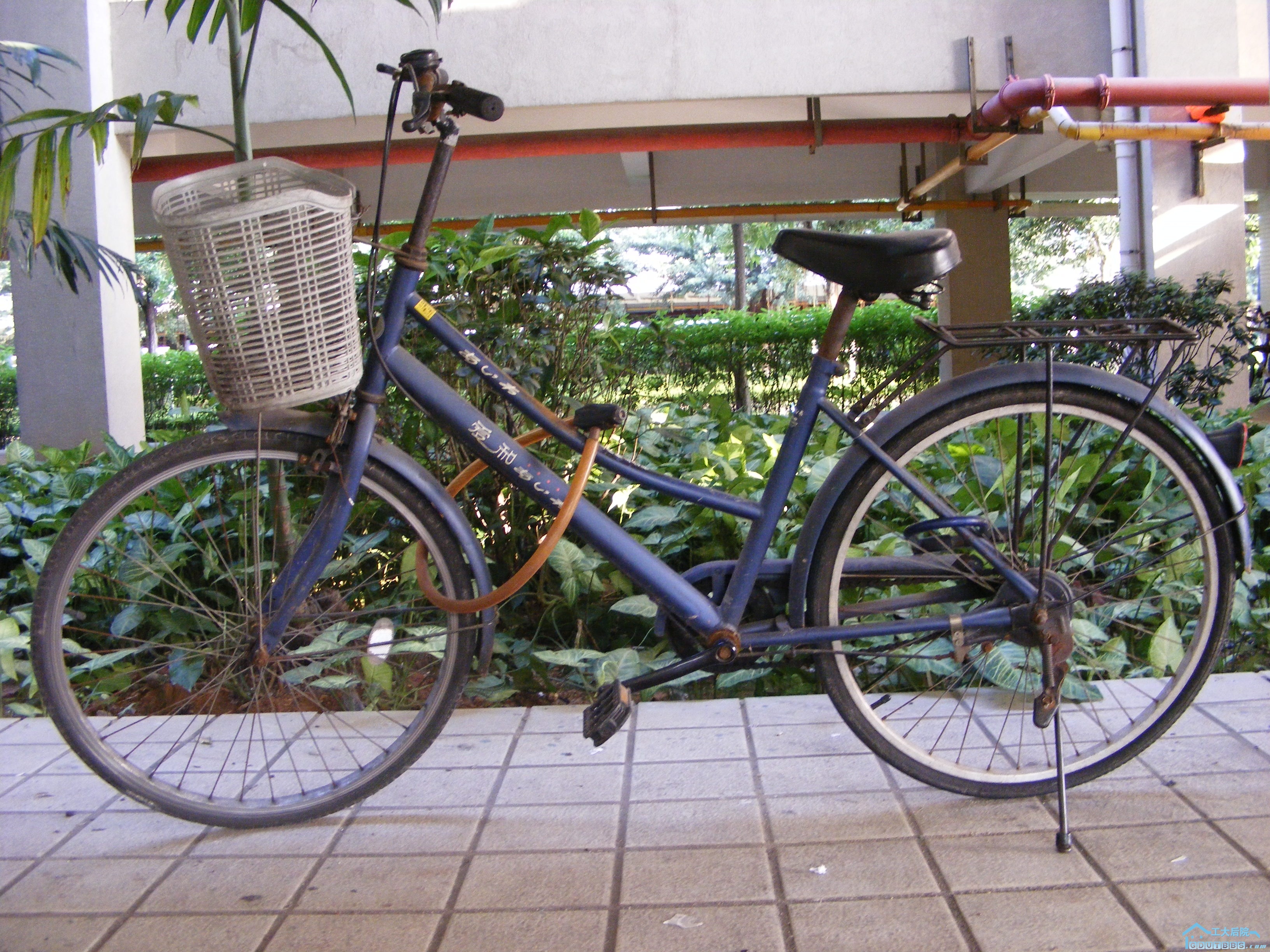 DSCF5149.JPG