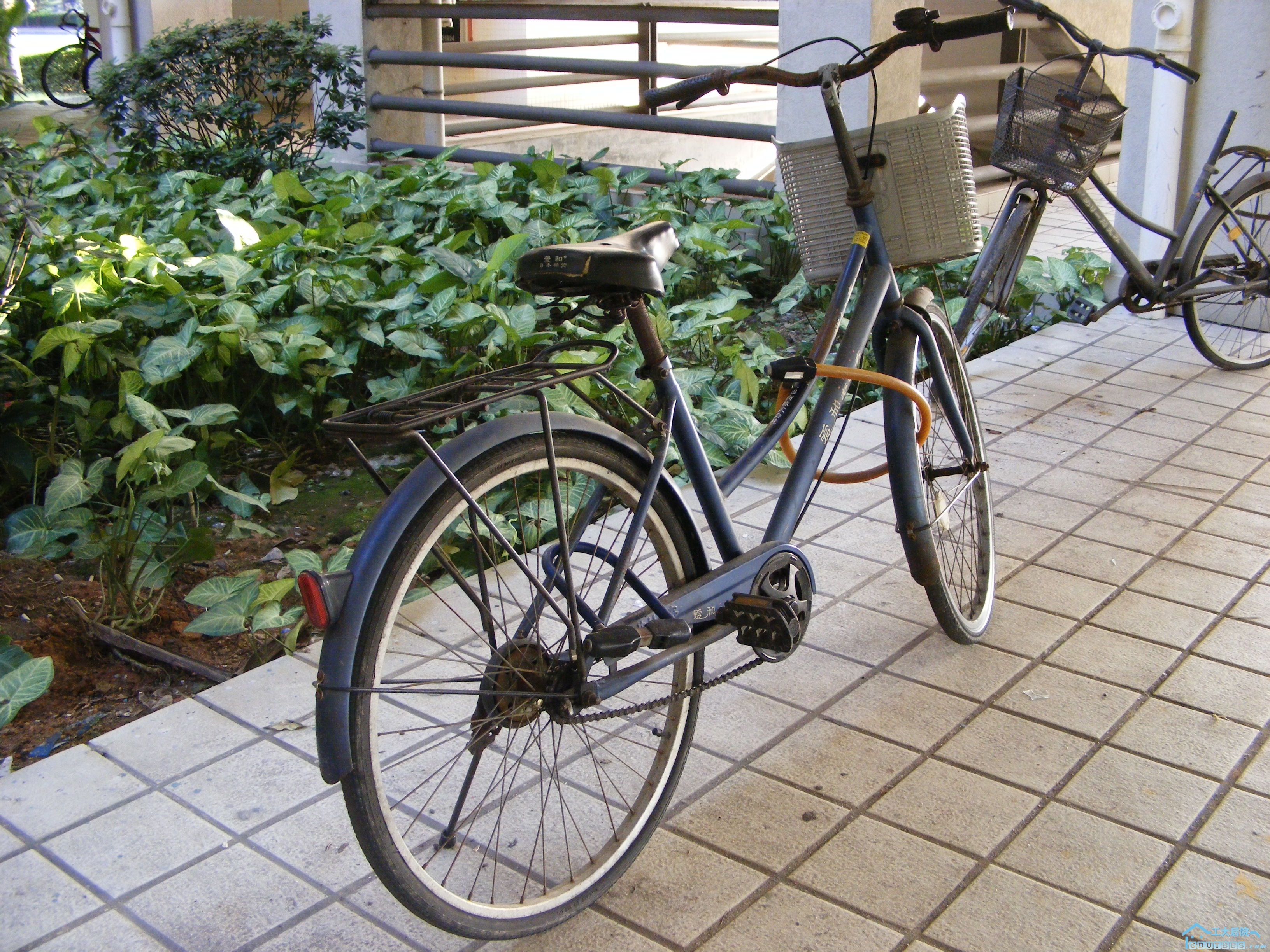 DSCF5151.JPG
