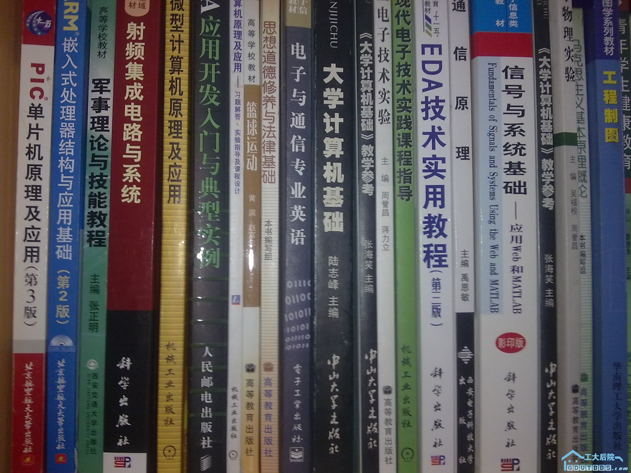 20100703307.jpg