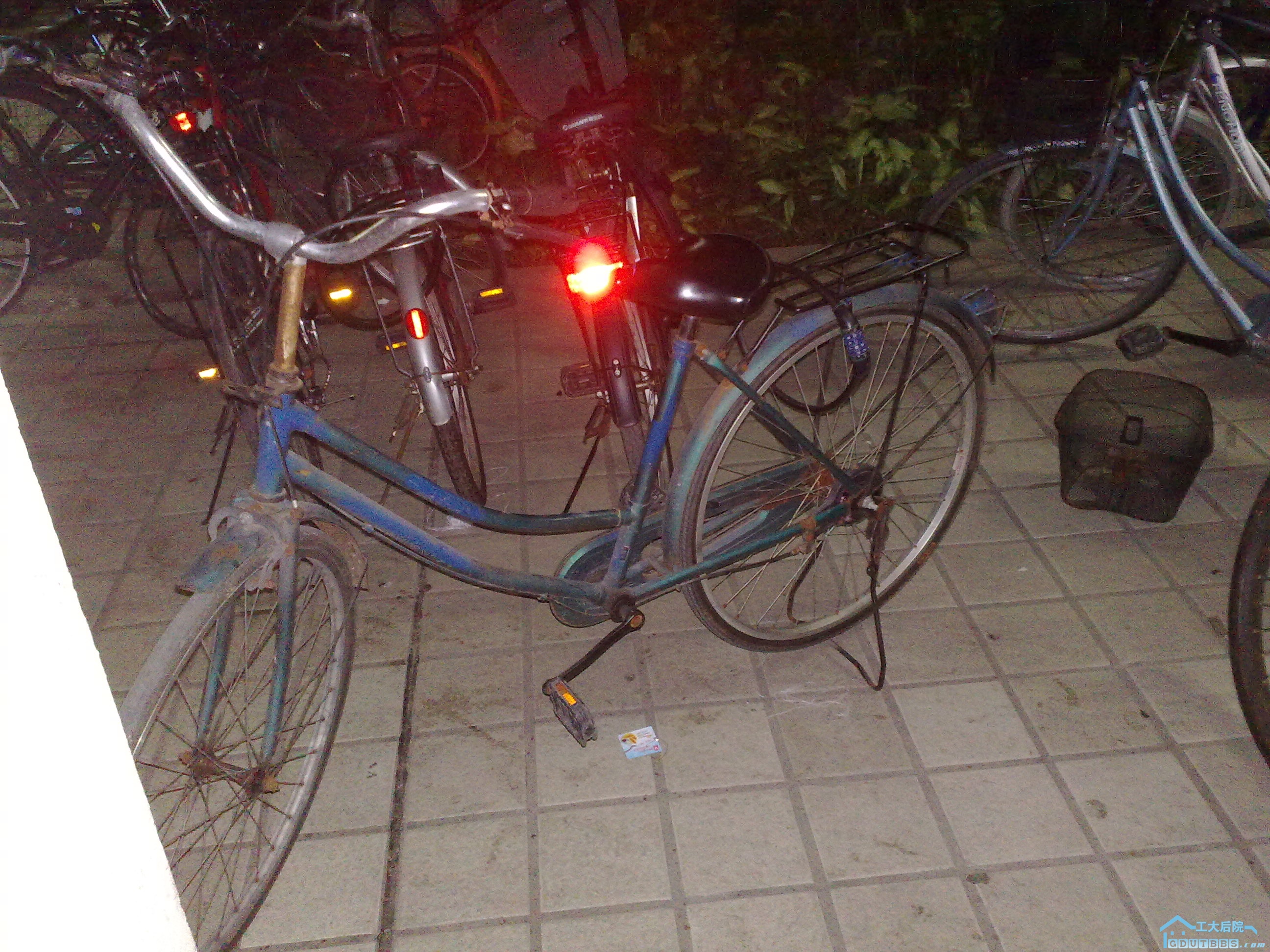 20100704750.jpg