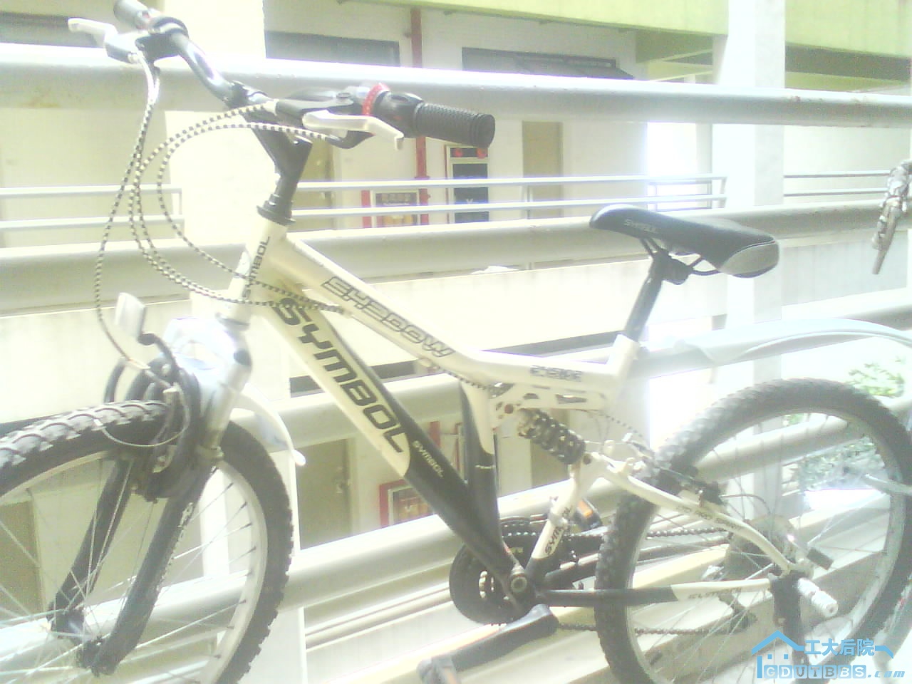 060710-35179.jpg