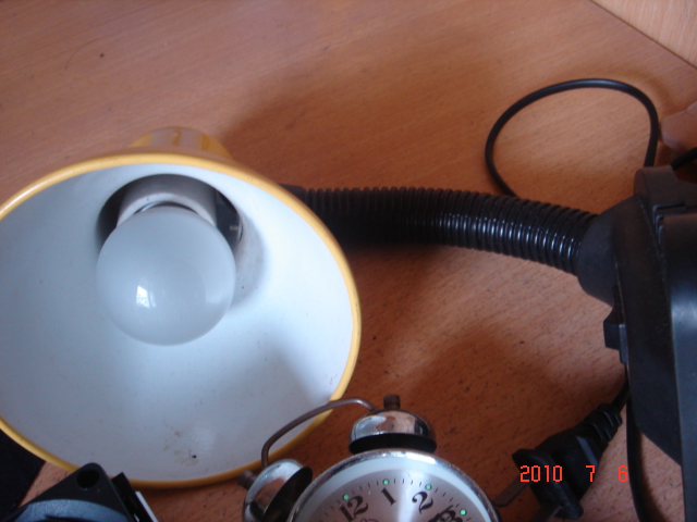 DSC07052.JPG
