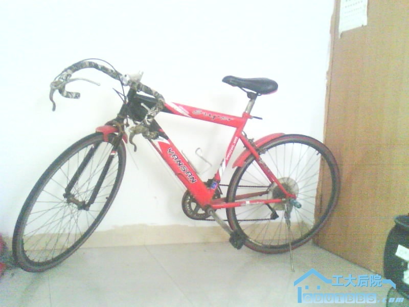 230610-42886.jpg