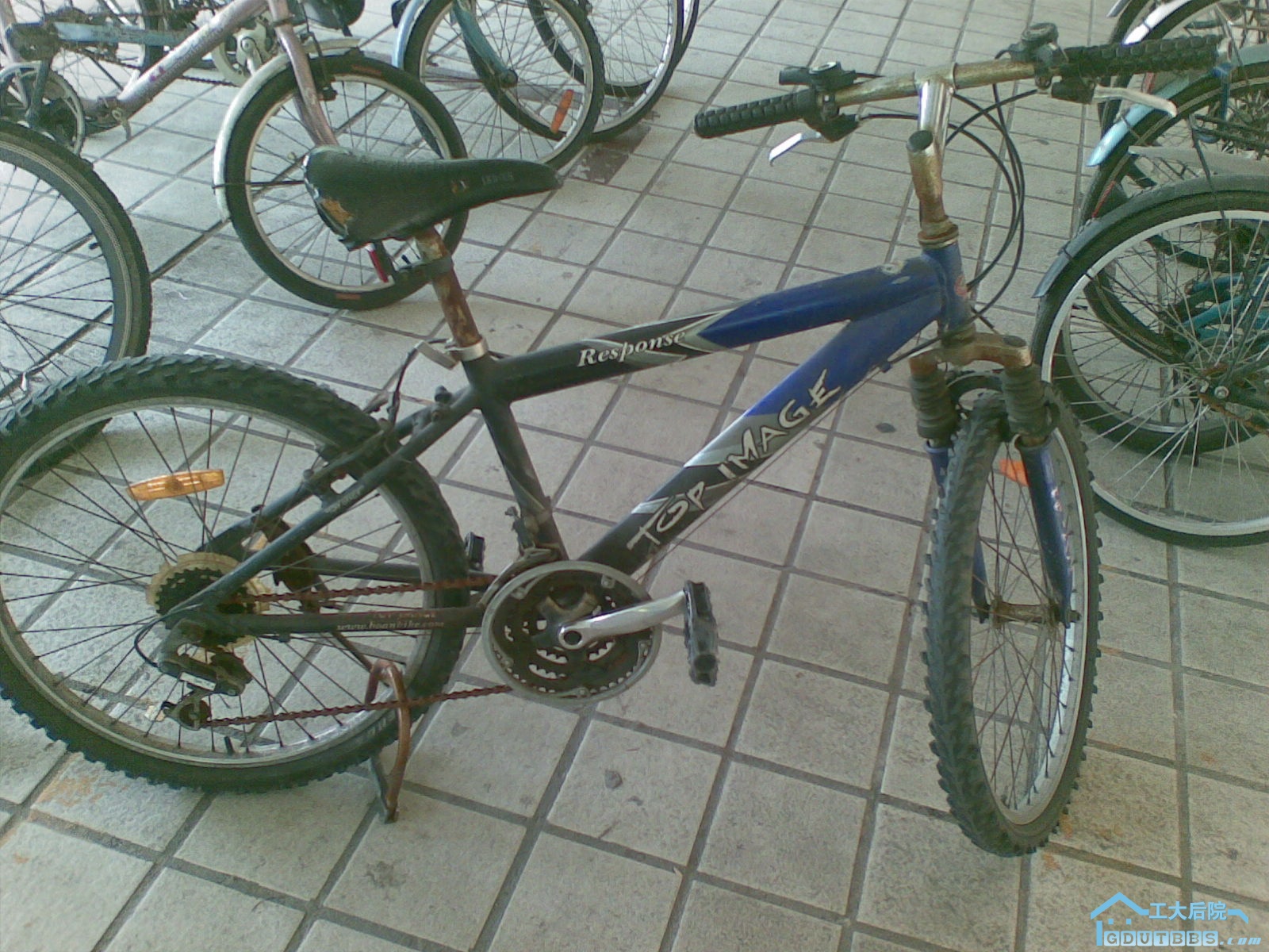 20100708(004).jpg