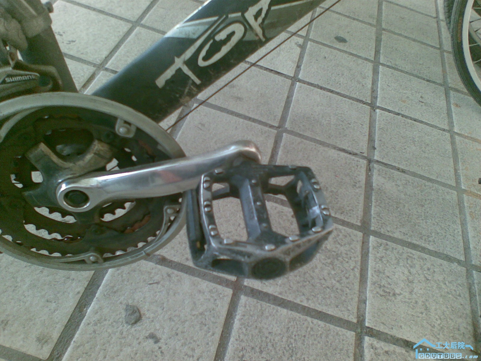 20100708(005).jpg