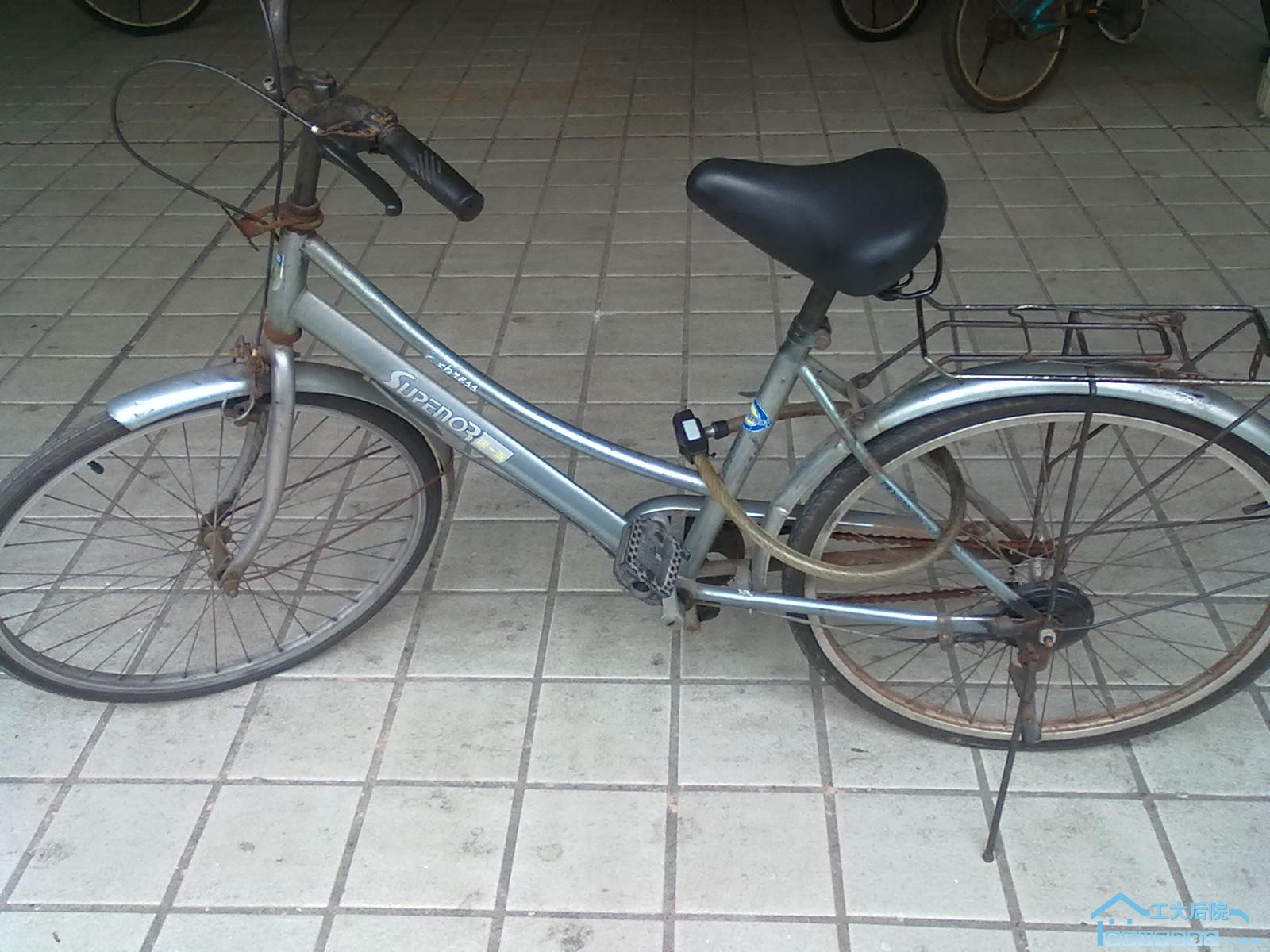 20100708061.jpg