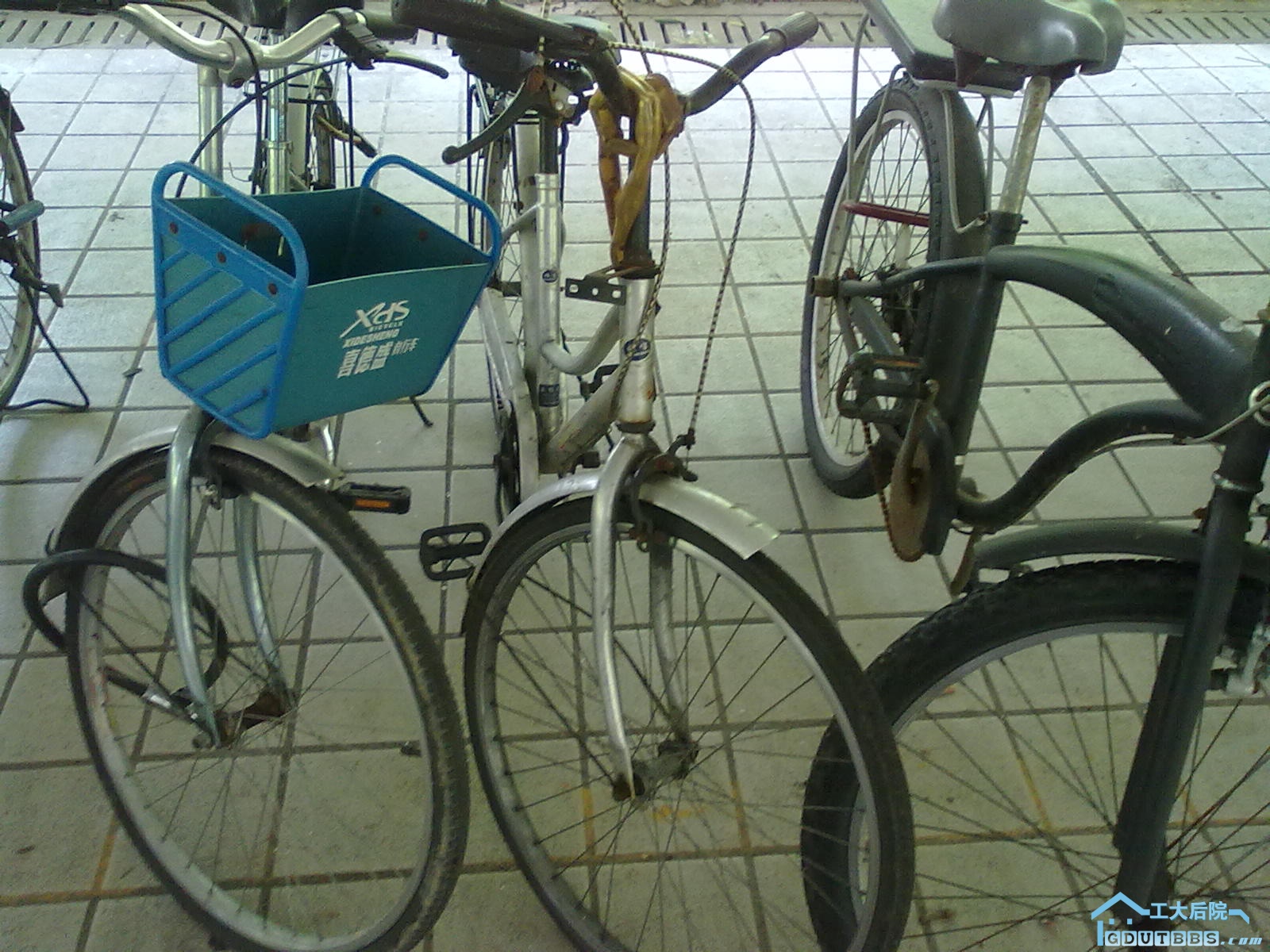 20100708060.jpg