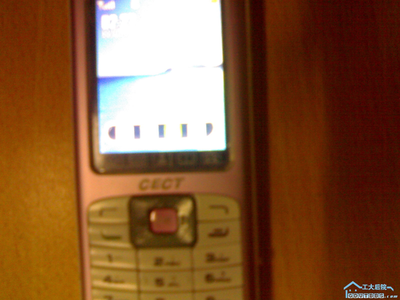 20100708373.jpg