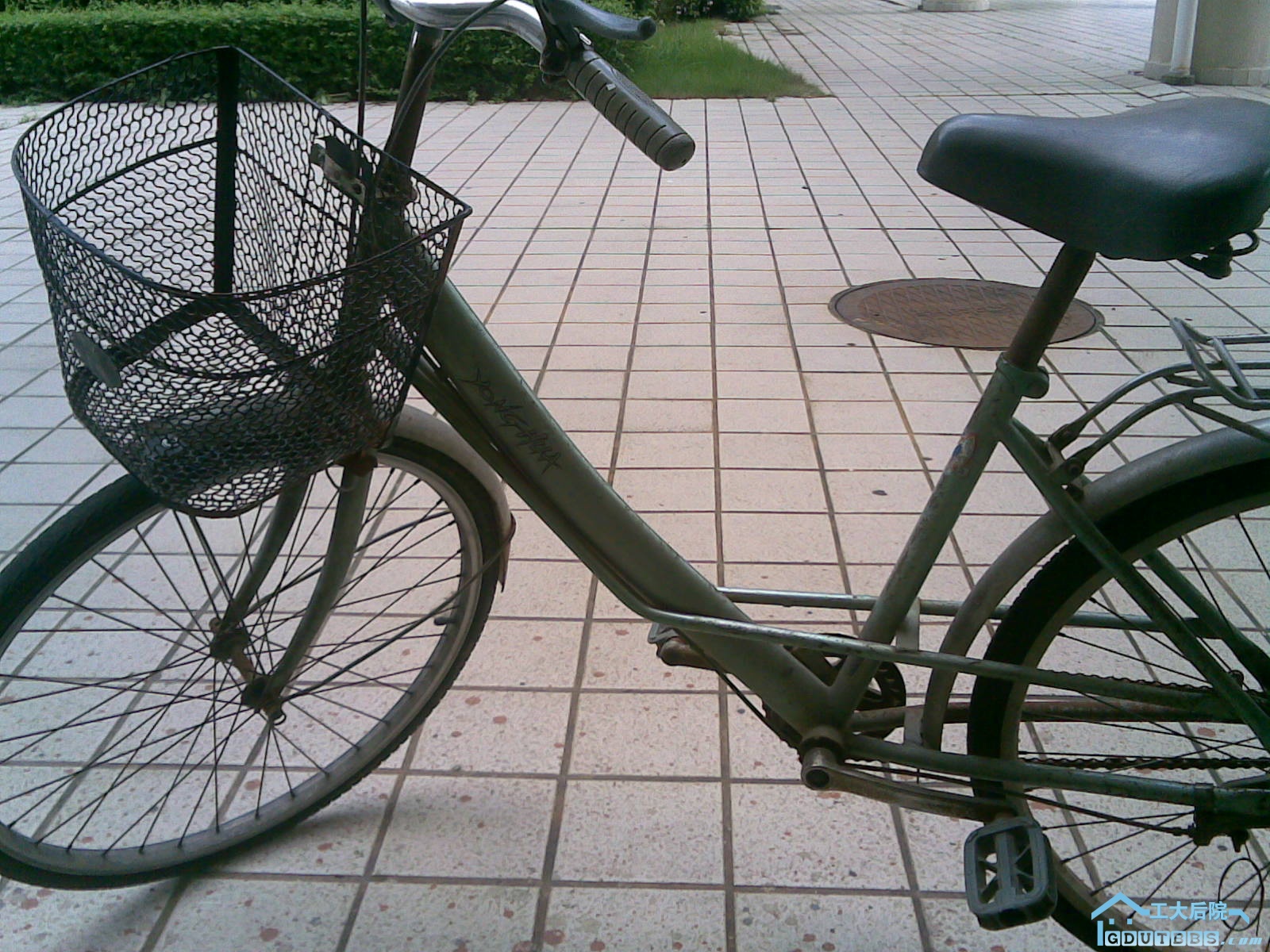 20100710(003).jpg