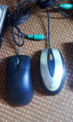 IMG0446A.jpg