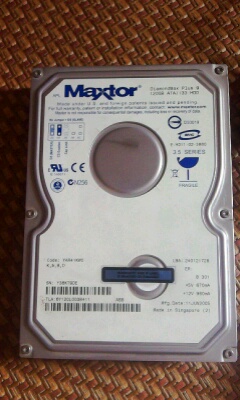 IMG0445A.jpg