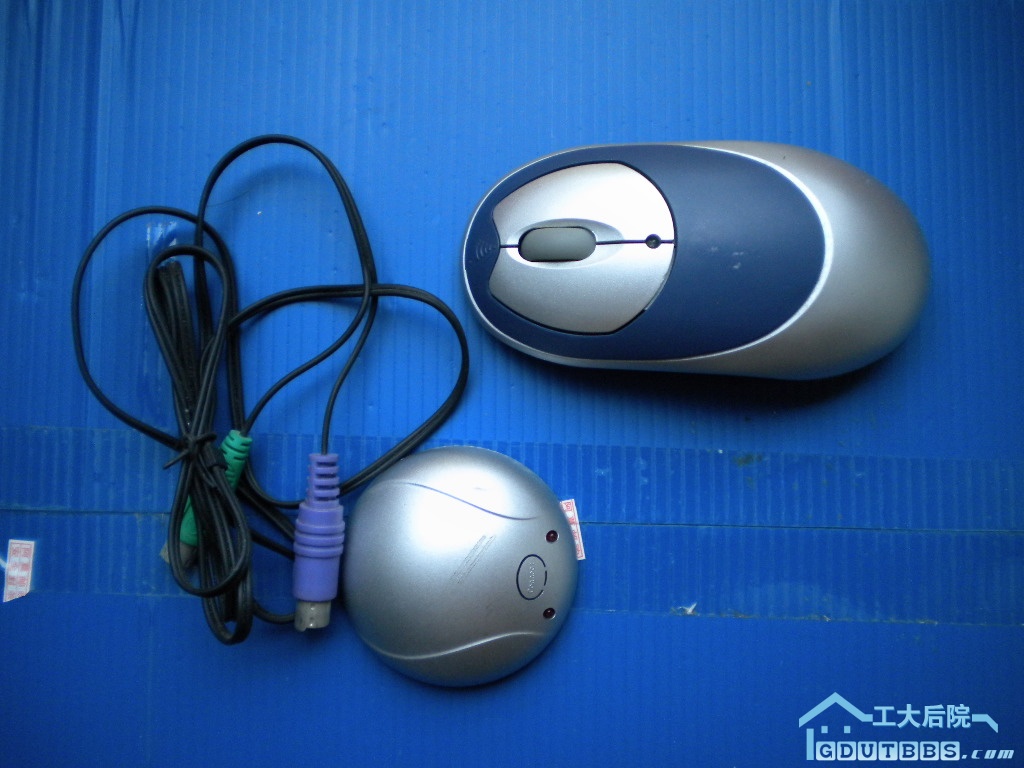 DSCN6780.JPG