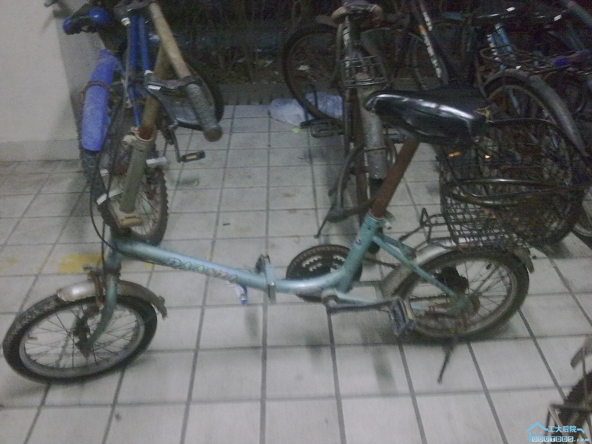 20100724437.jpg