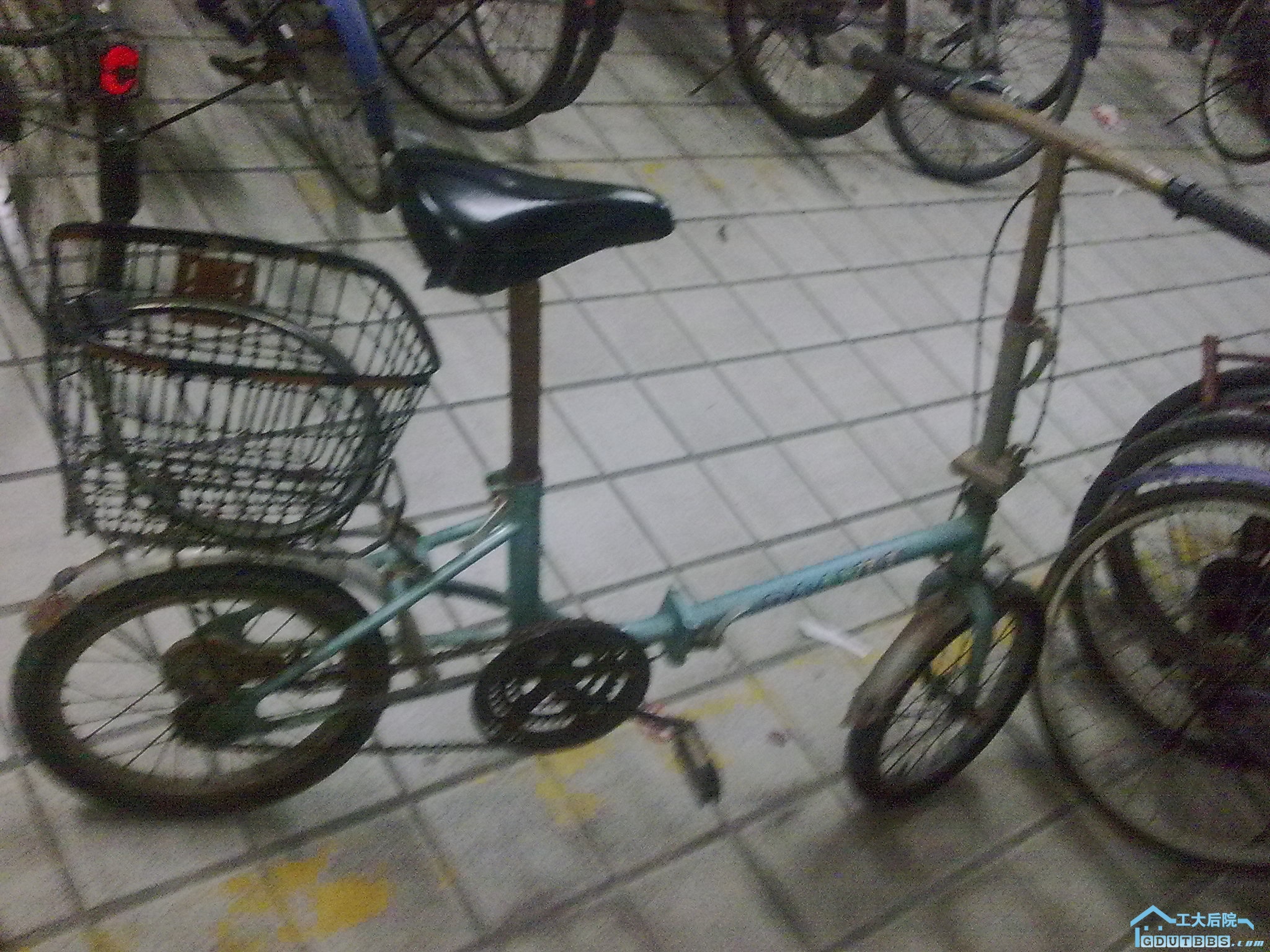 20100724438.jpg