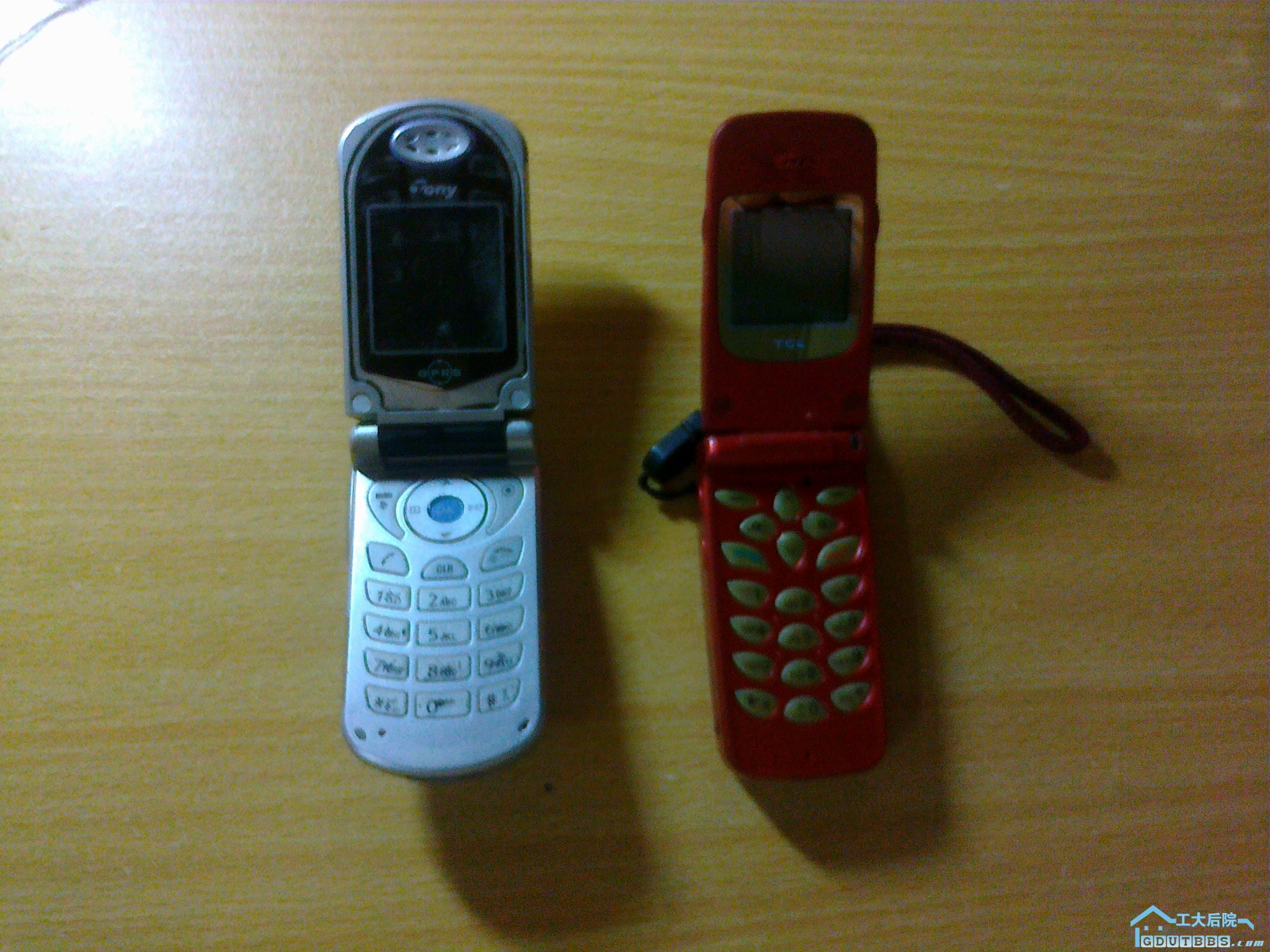20100731250.jpg