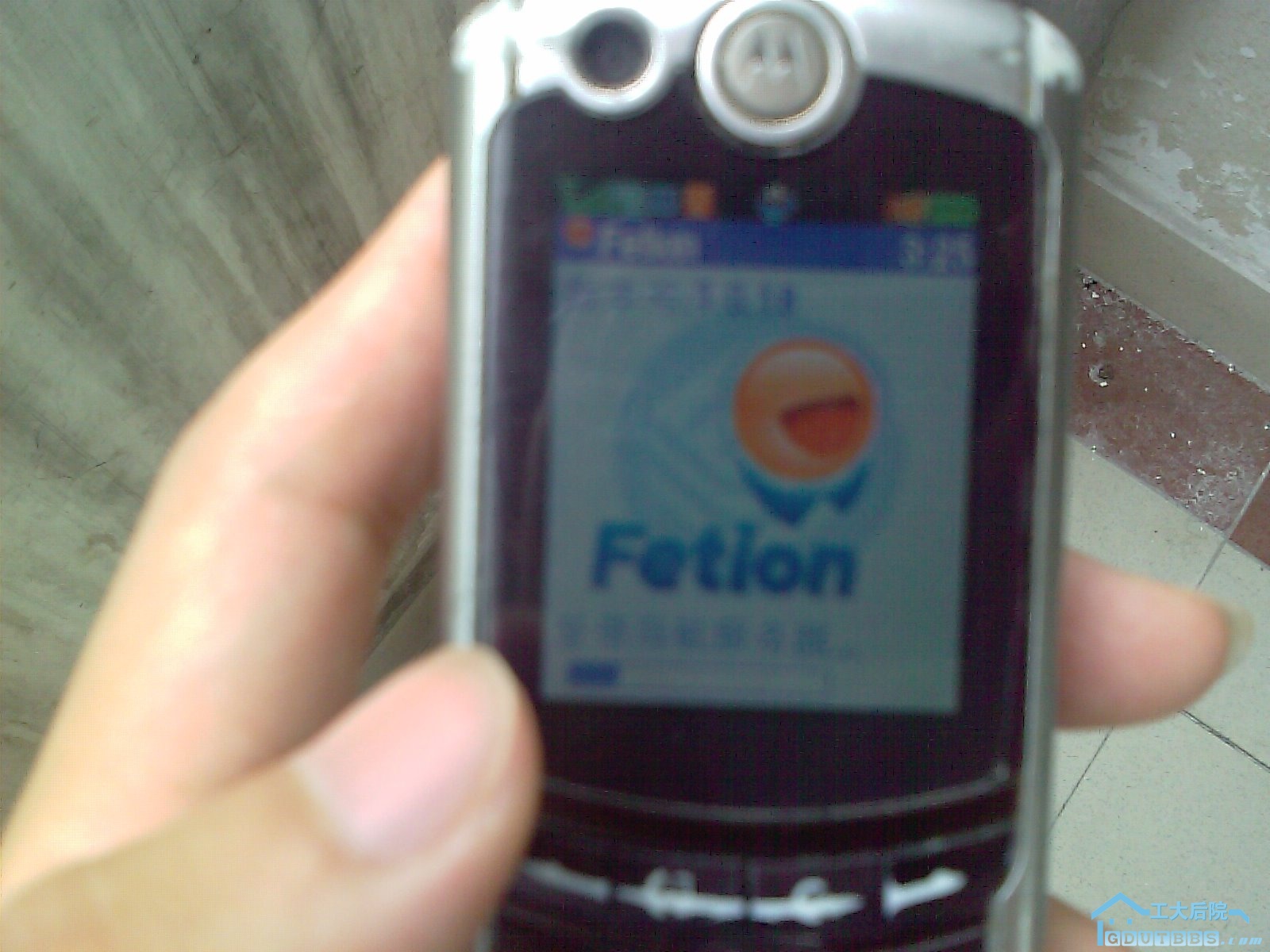 IMAG0026.jpg