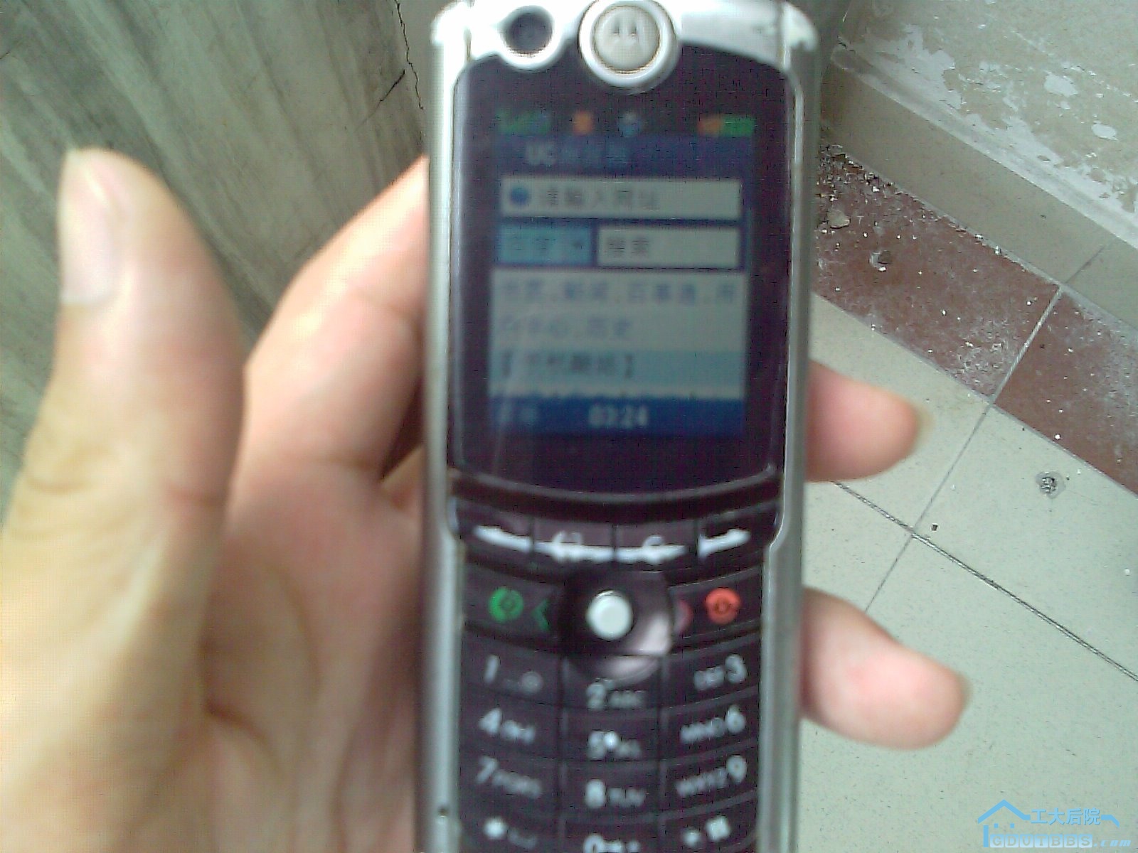IMAG0024.jpg