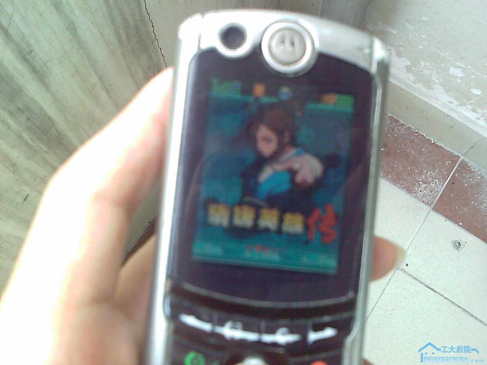 IMAG0027.jpg