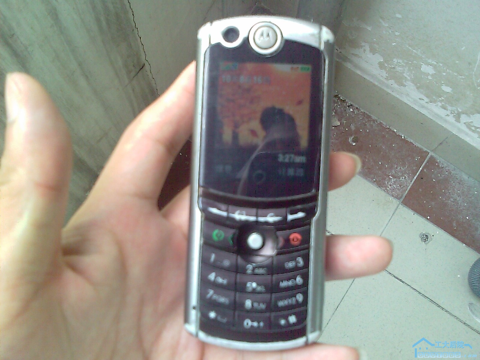 IMAG0028.jpg