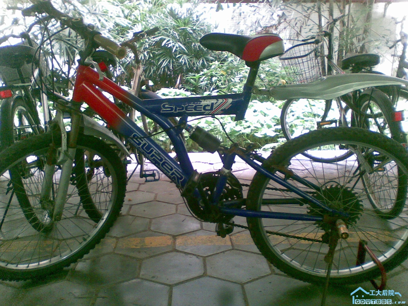 20100820.jpg