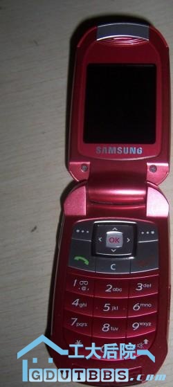 t329.JPG