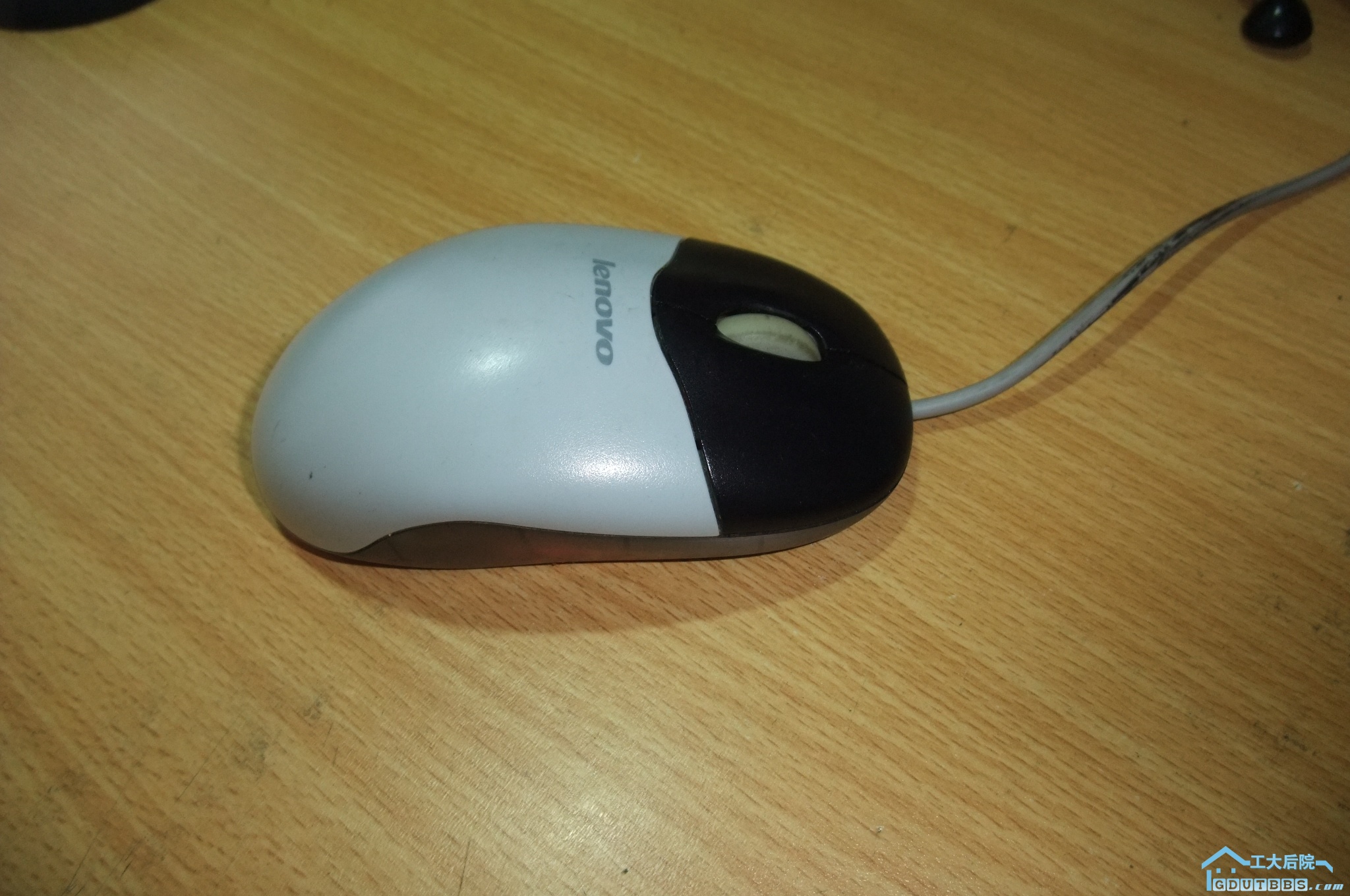 DSCF2178.JPG