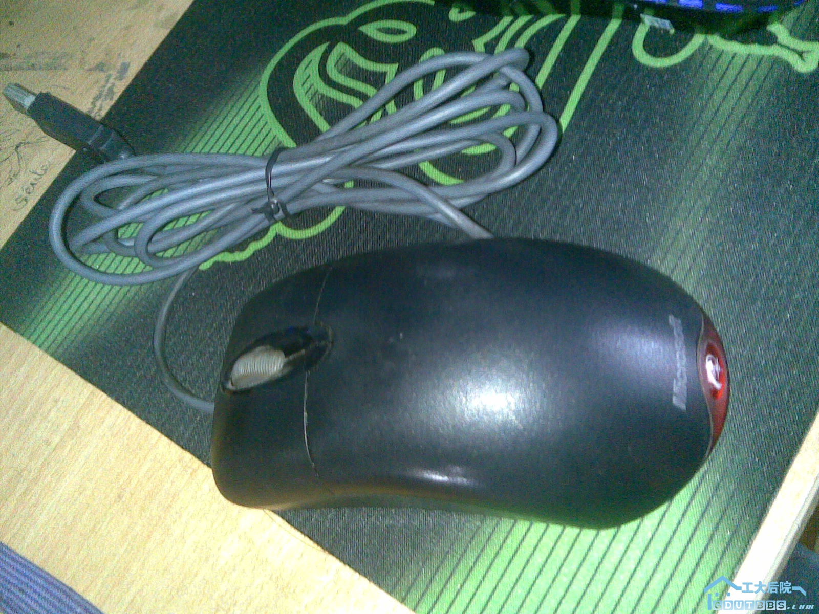 20100823(001).jpg