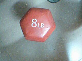 8公斤包胶哑铃单个