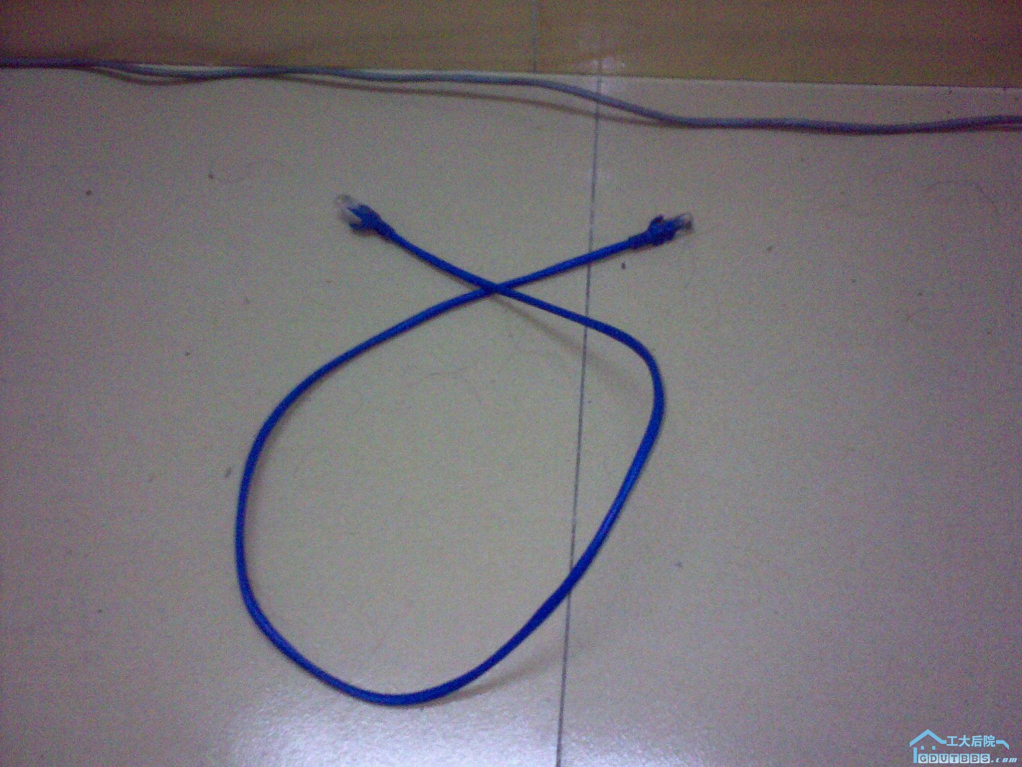 20100824359.jpg