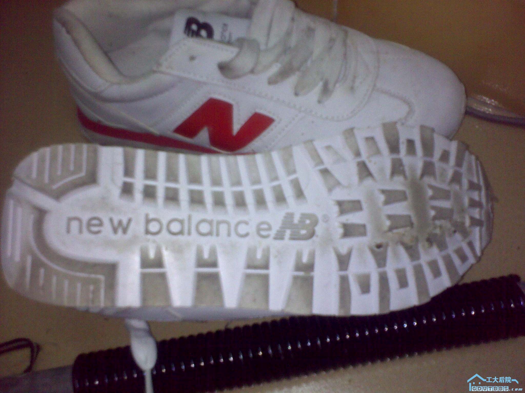 20100830401.jpg