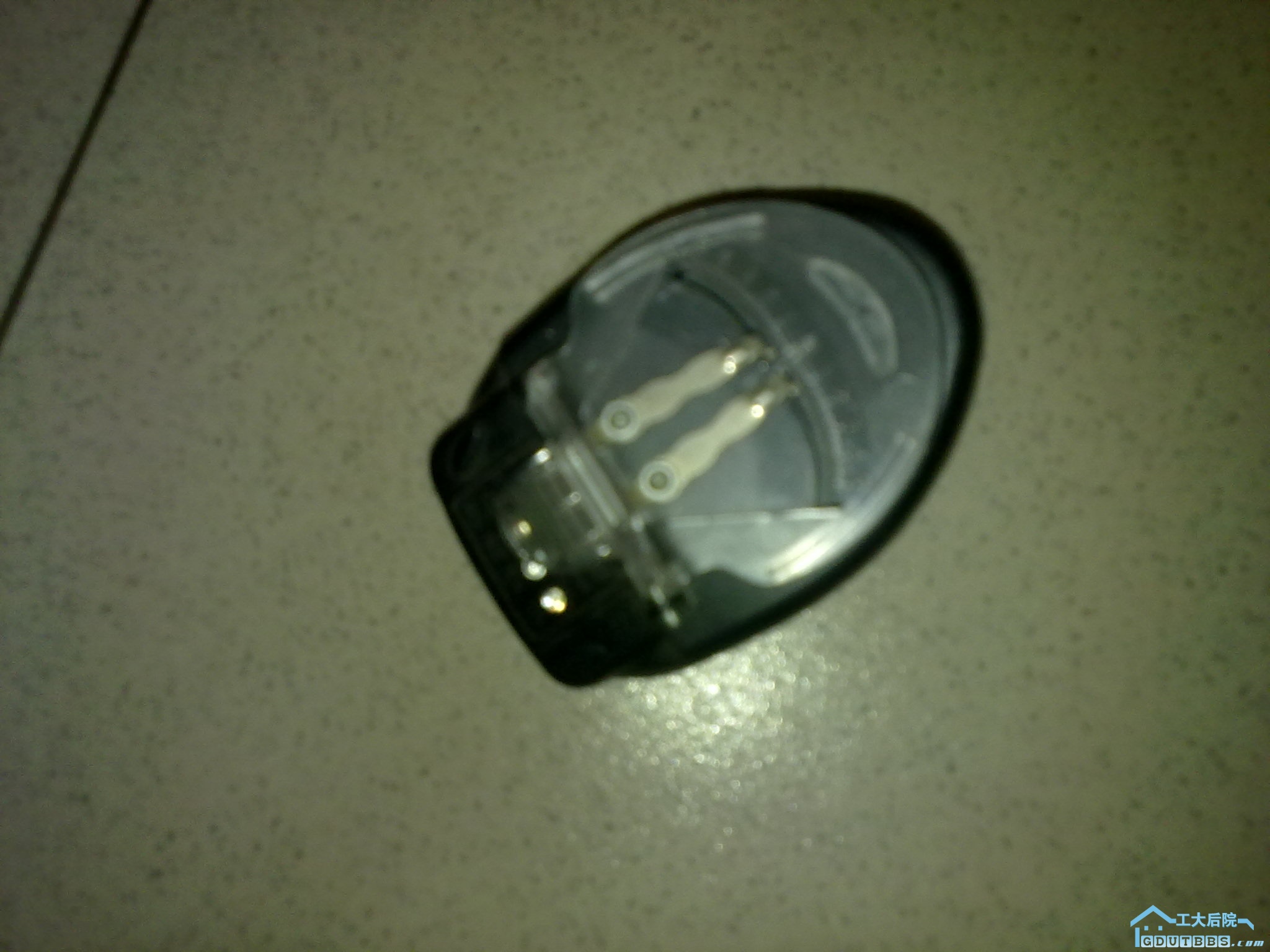 20100901274.jpg
