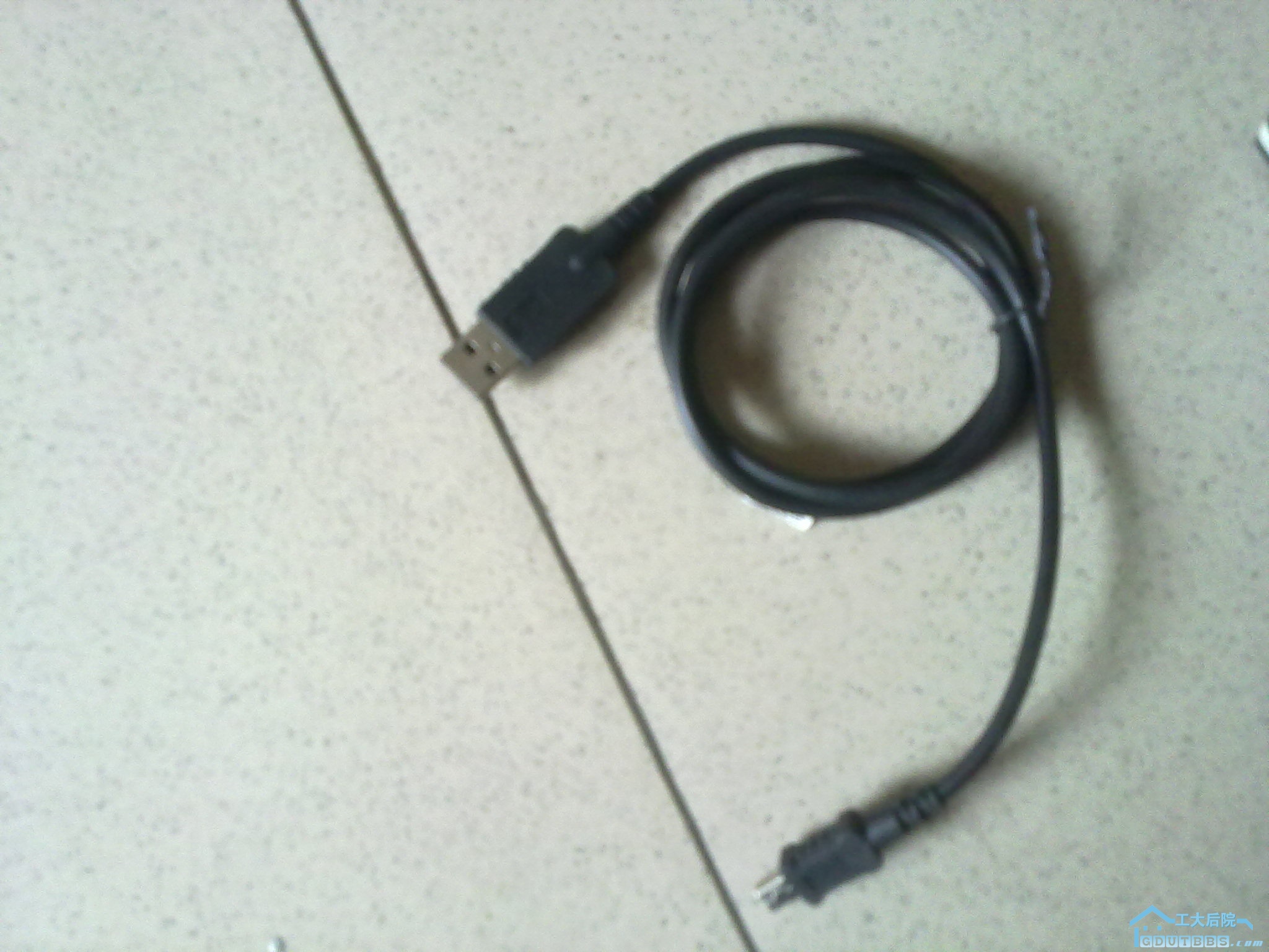 20100901276.jpg