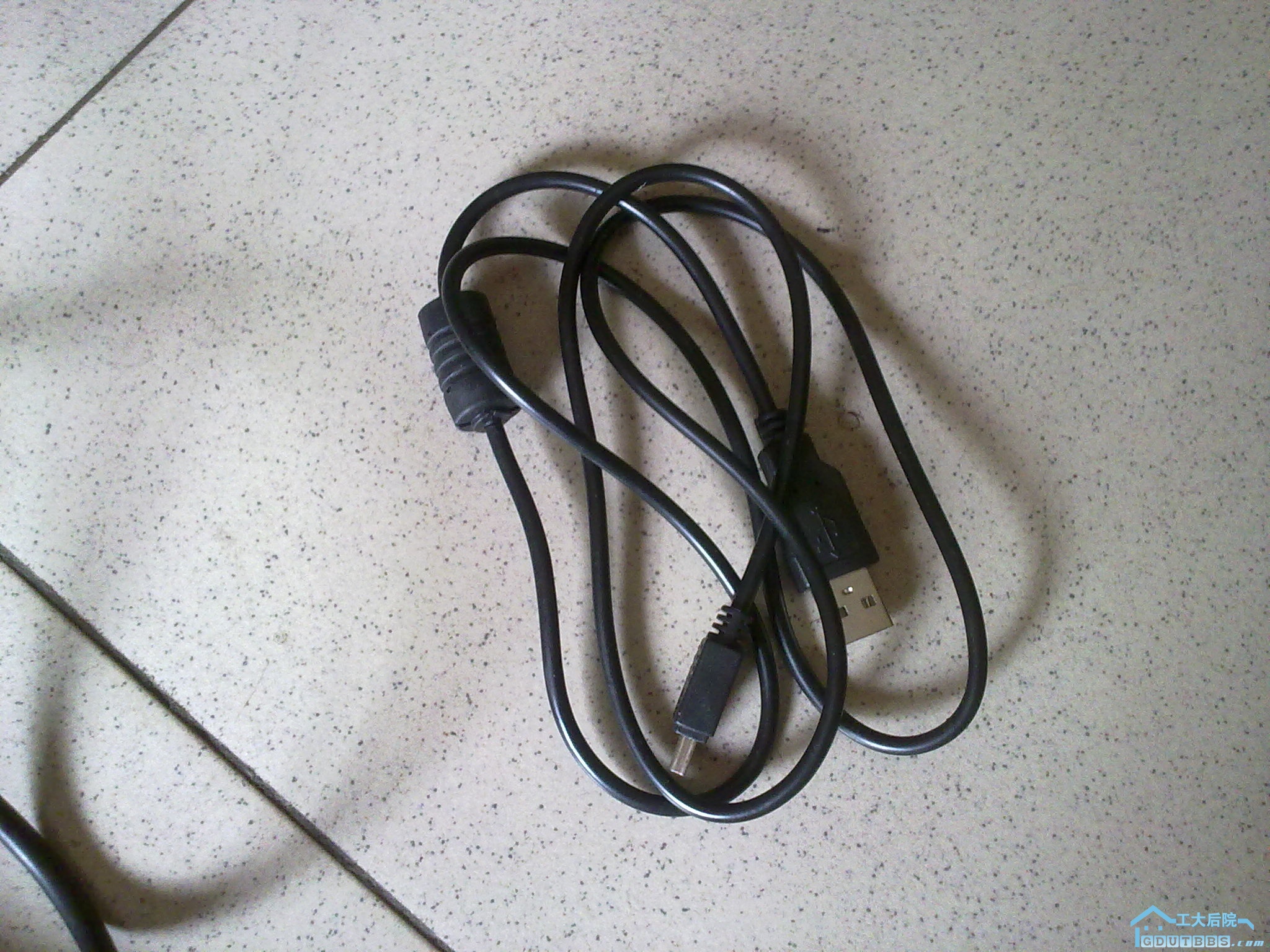 20100901271.jpg