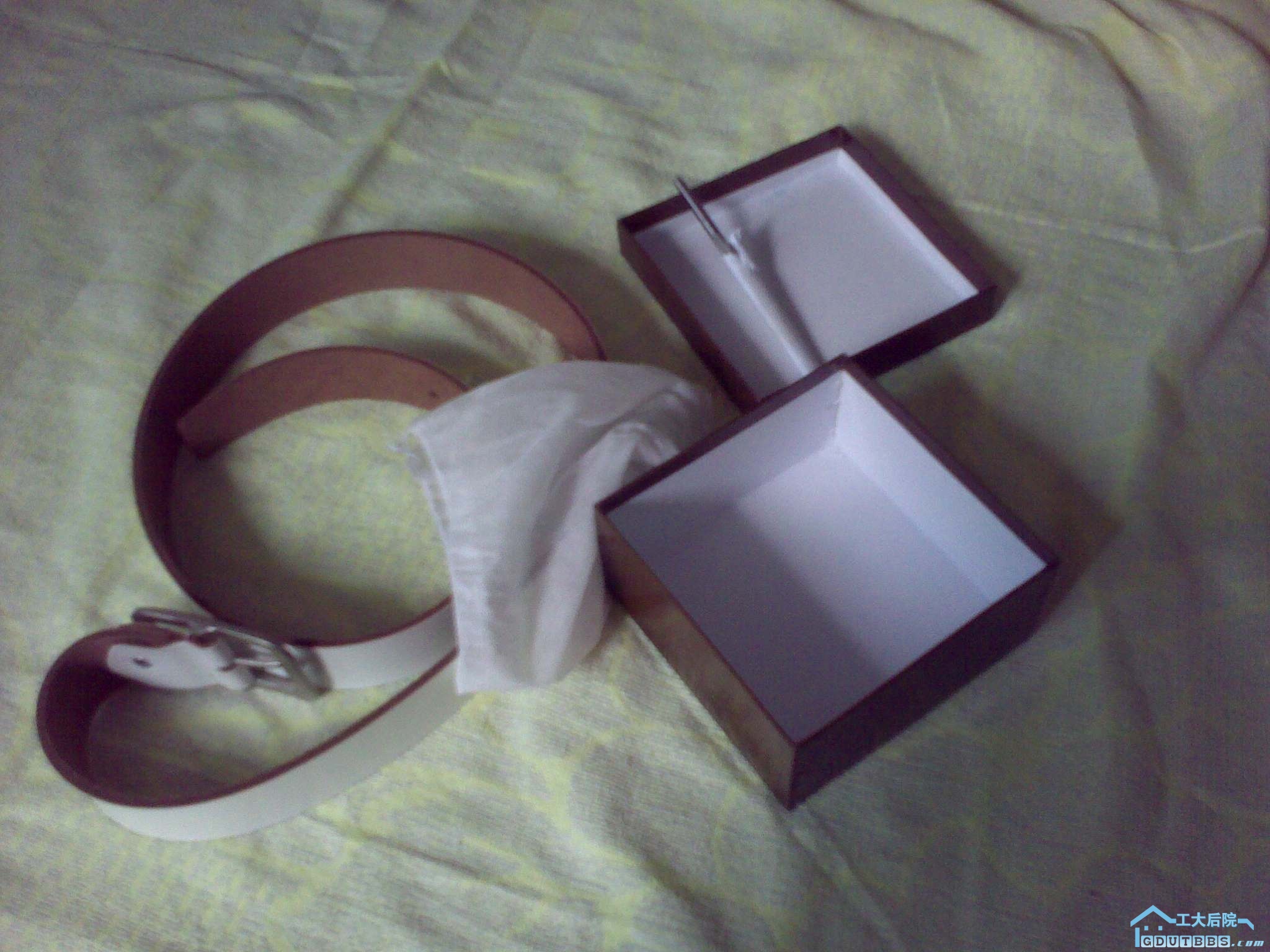 20100902419.jpg