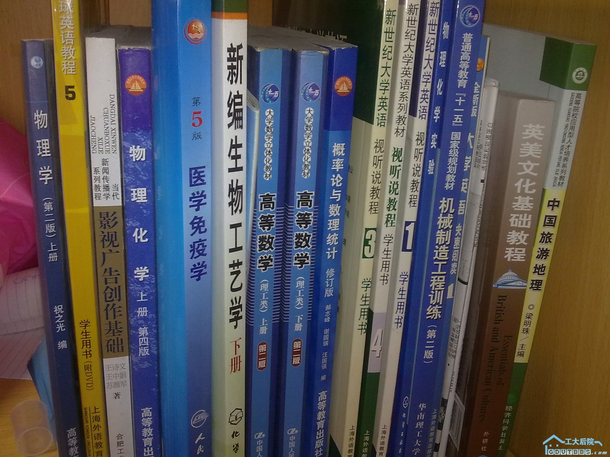 图像454.jpg