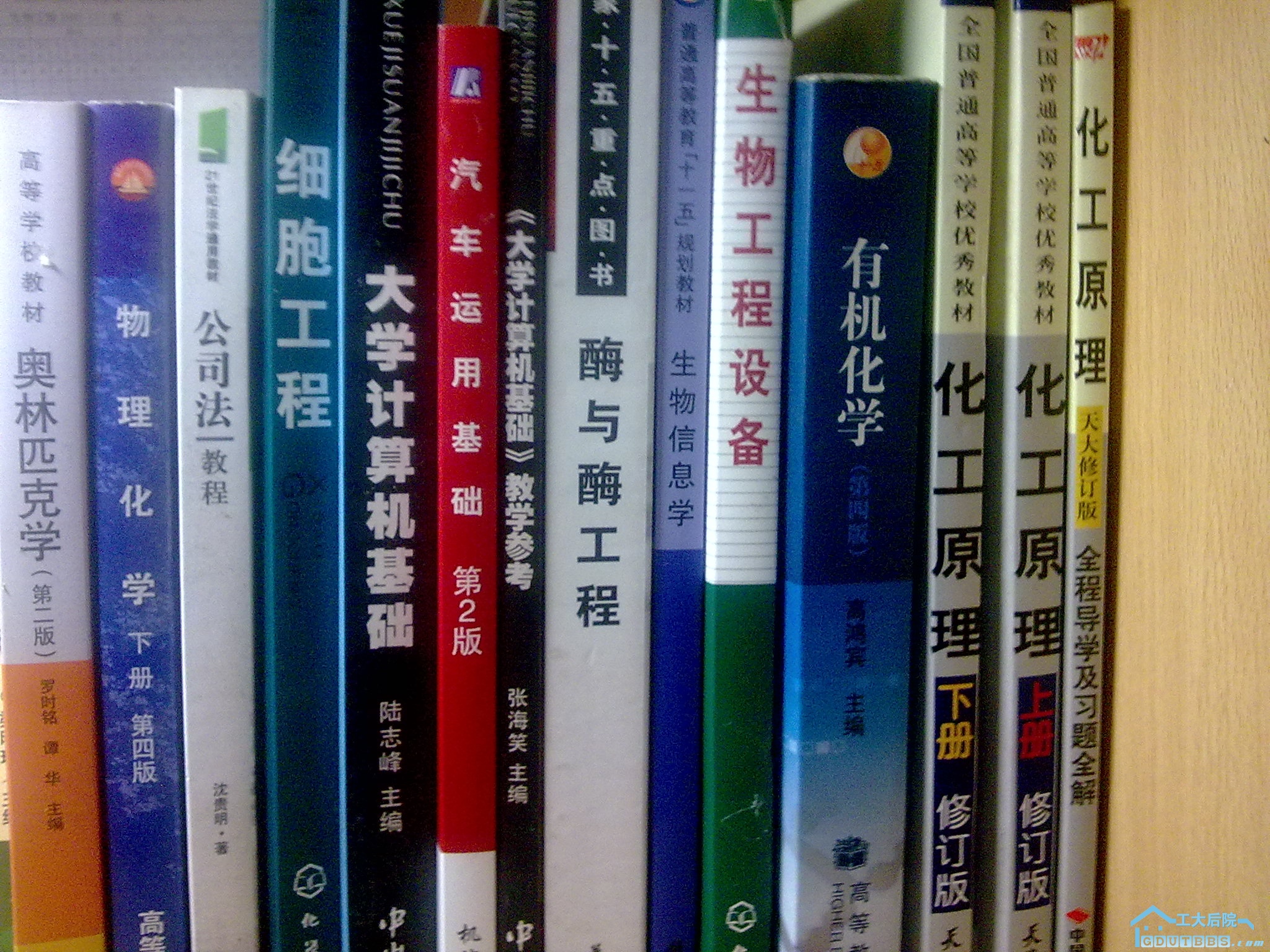 图像453.jpg