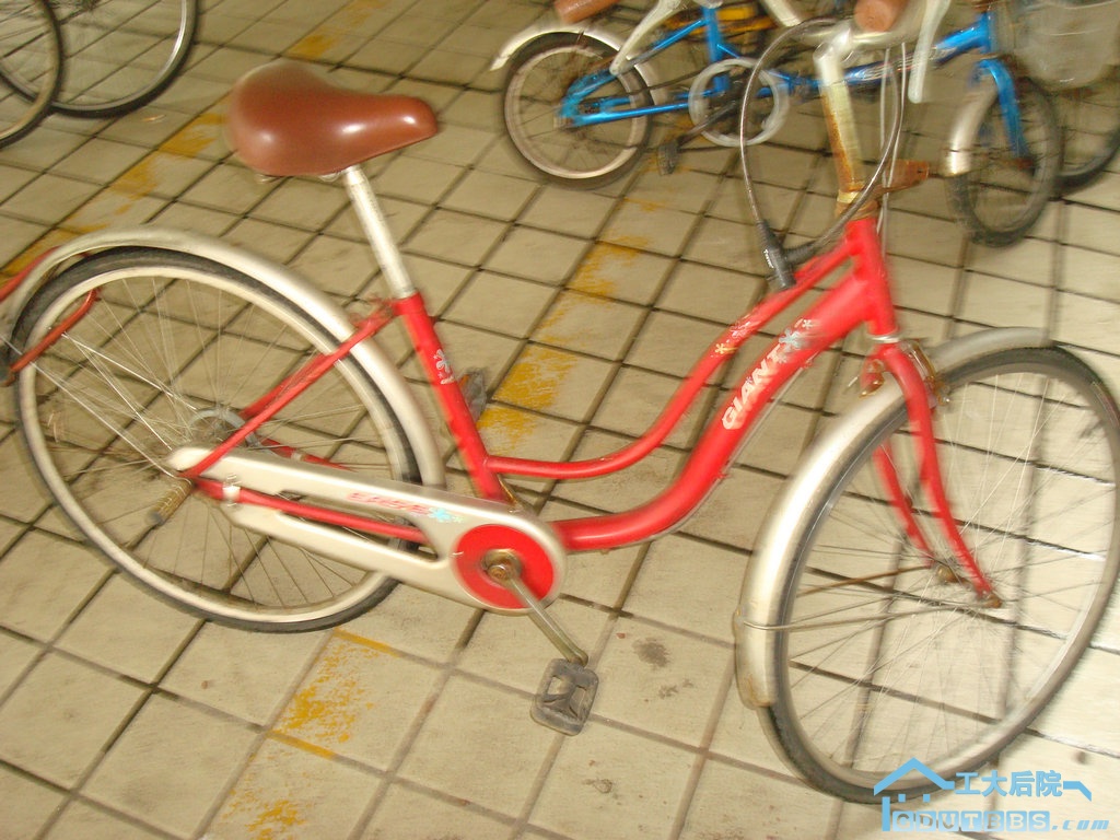 234rmb  的捷安特