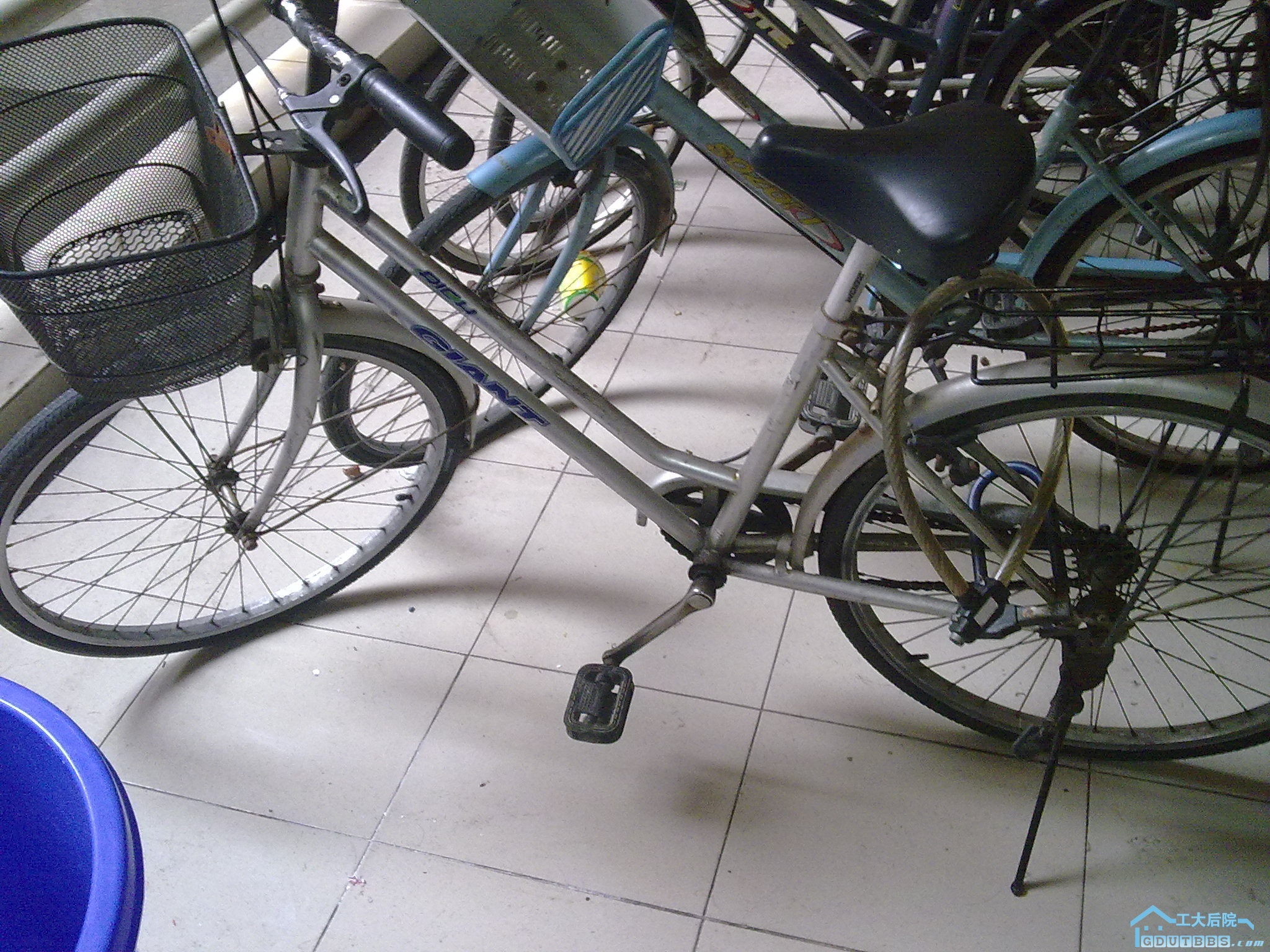 20100903394.jpg