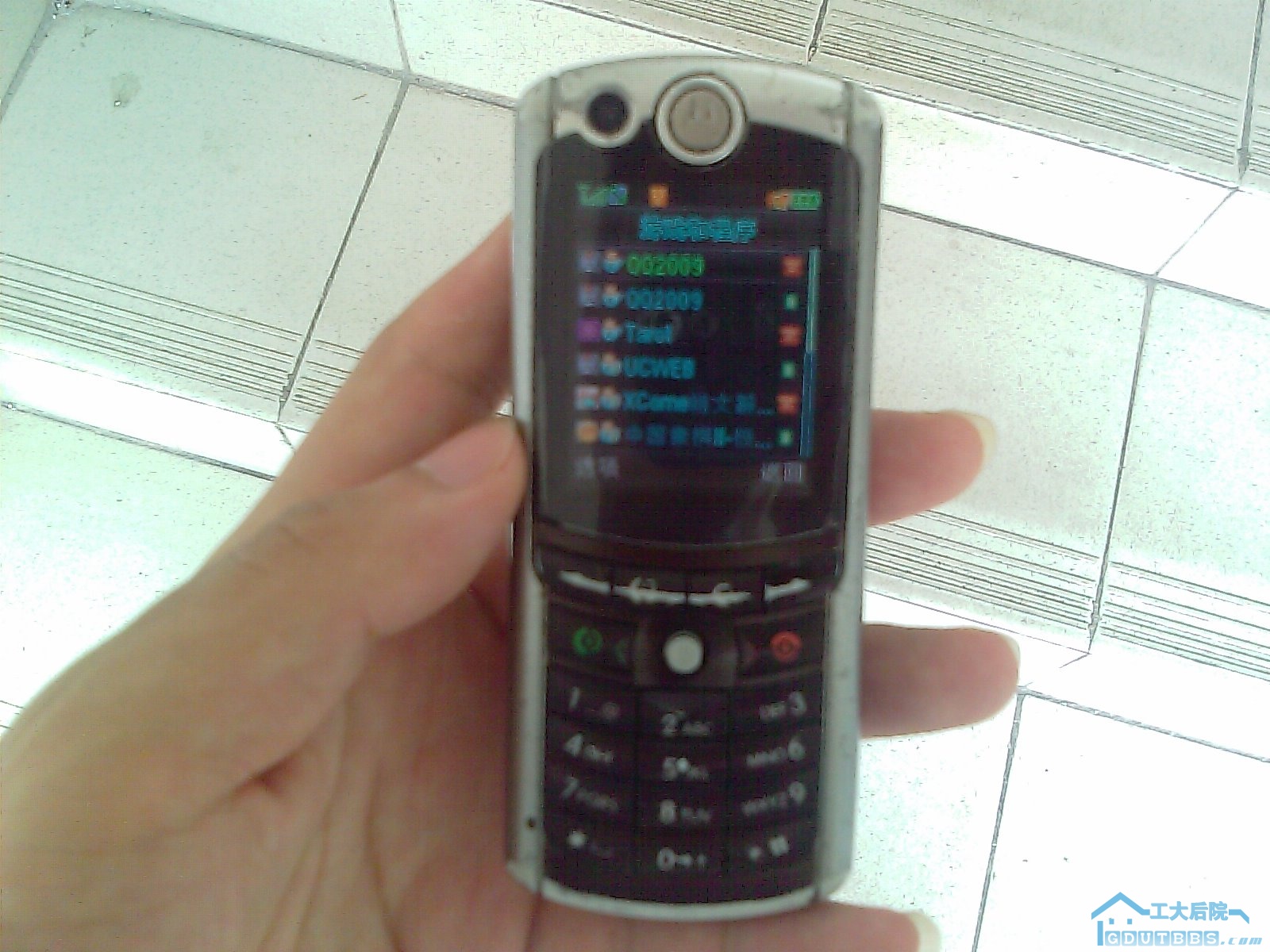 IMAG0019.jpg
