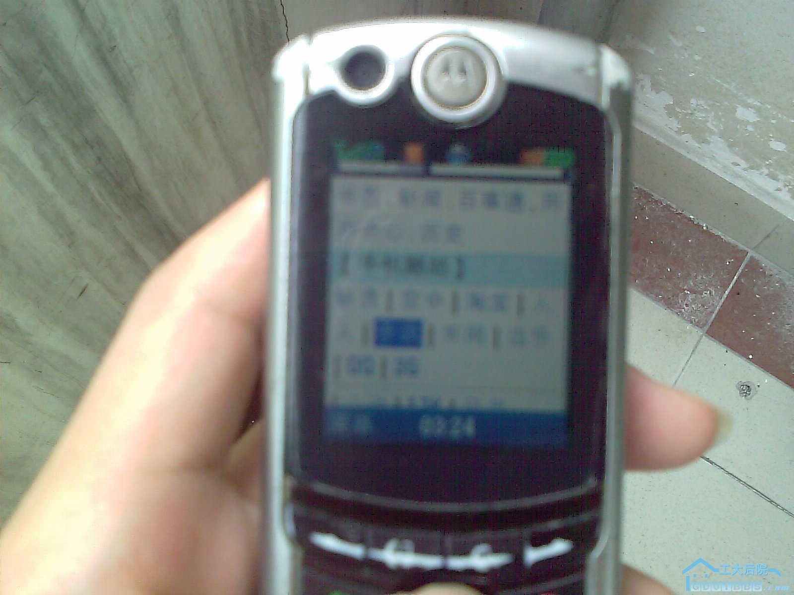 IMAG0025.jpg