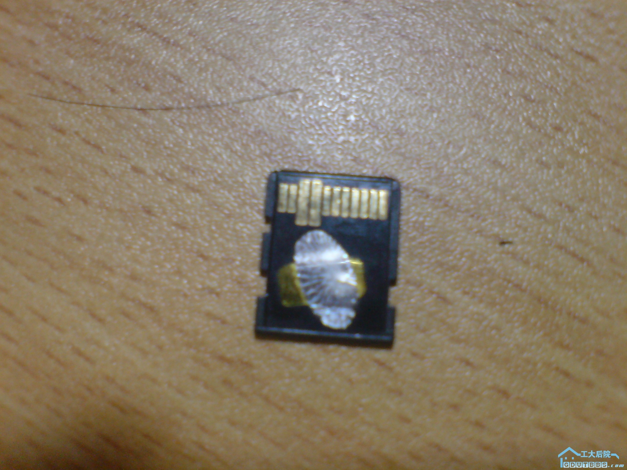 DSC00063.JPG