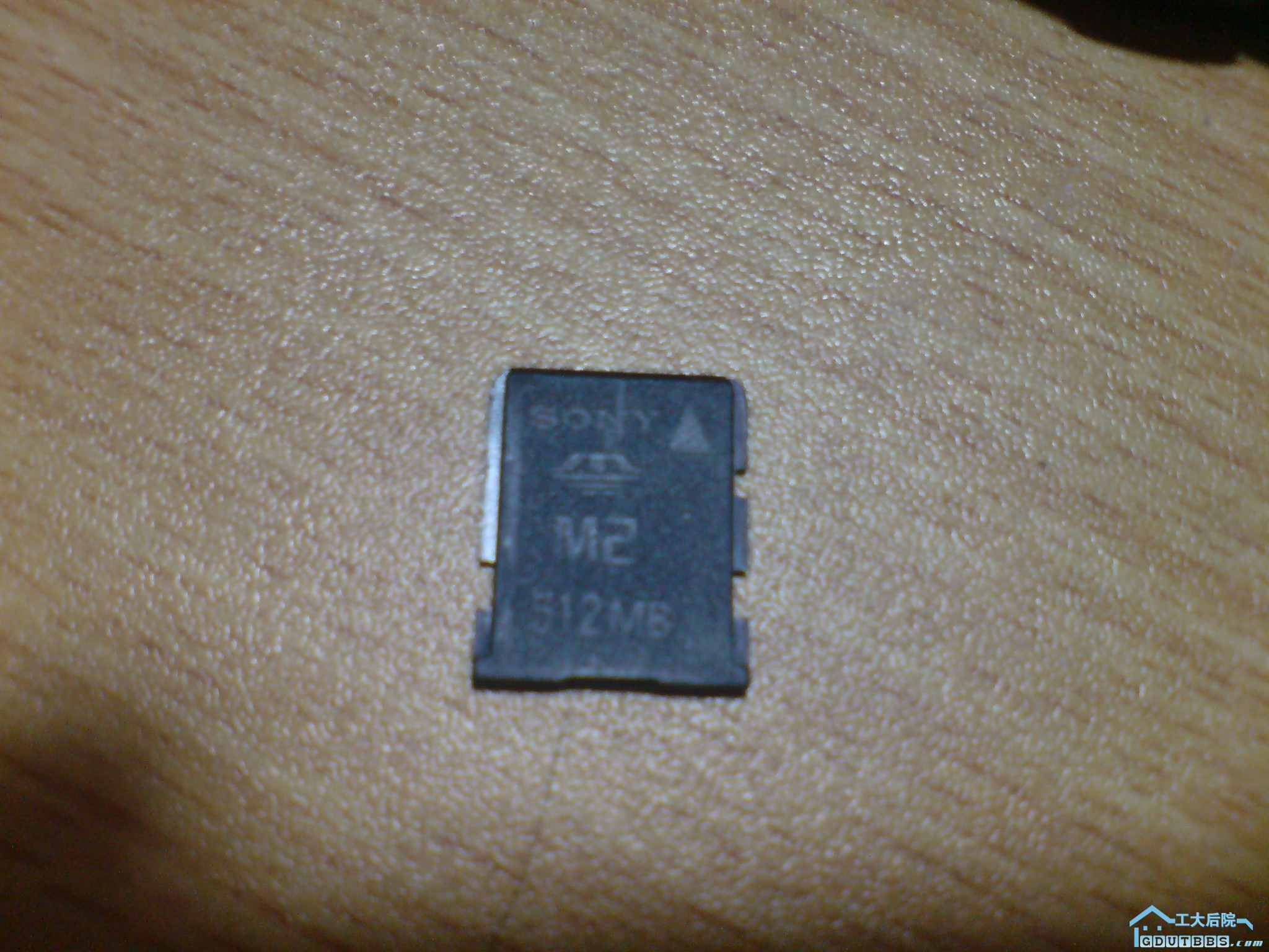 DSC00070.JPG