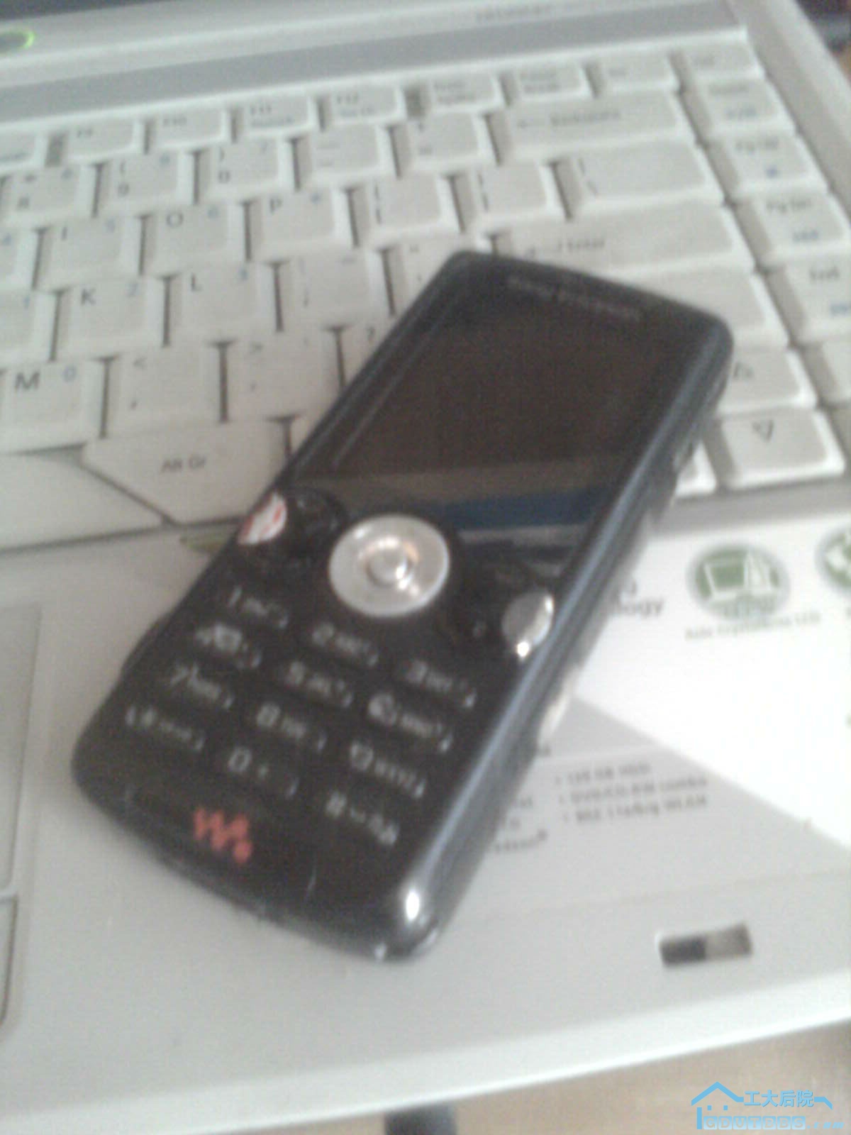 IMAG0024.jpg