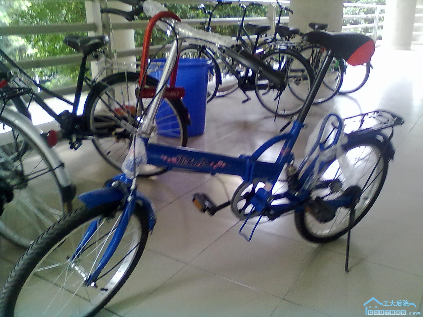 20100906025.jpg